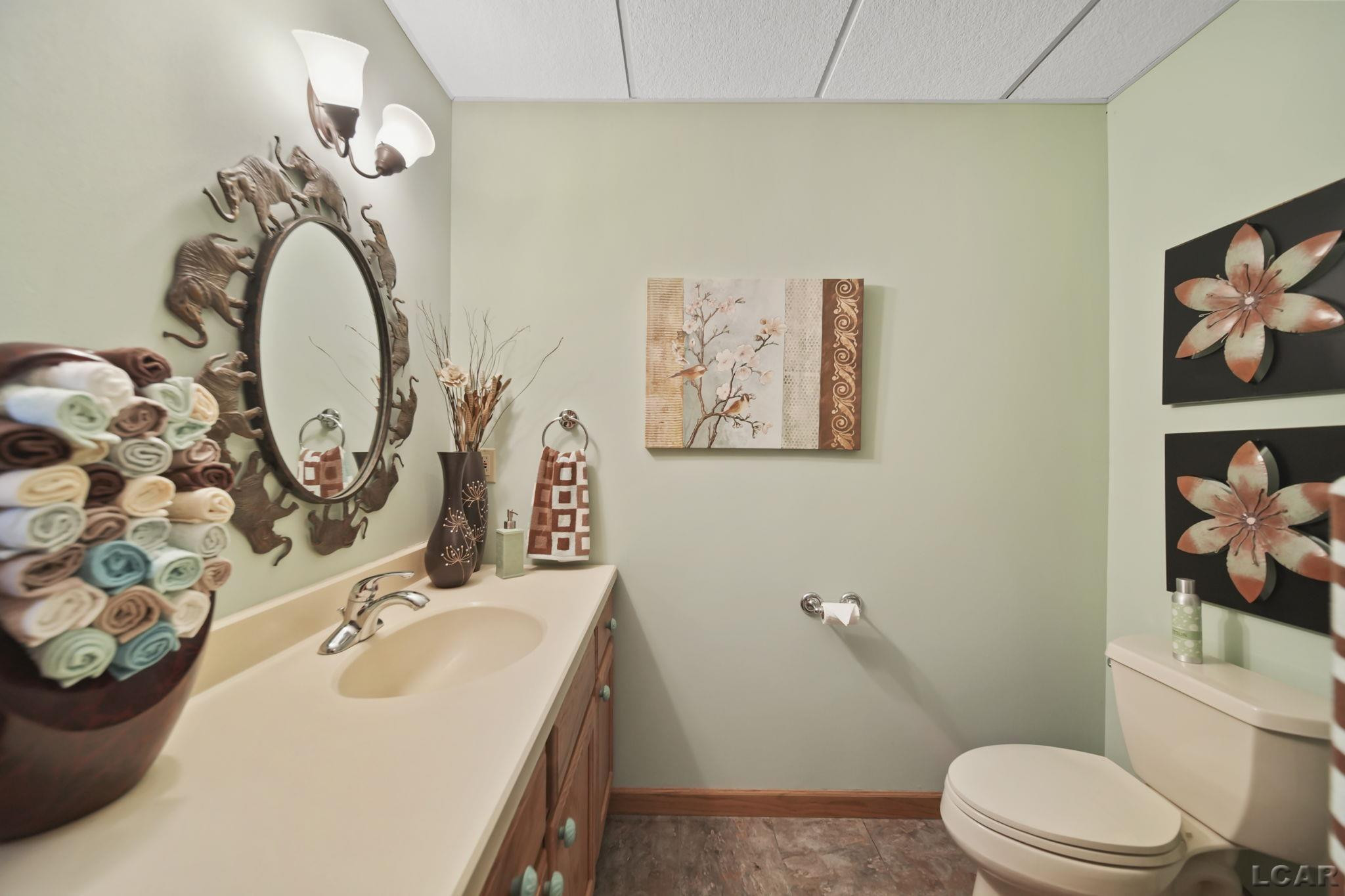 8443 Stephenson Street, Onsted, MI 49265 — Photo 44