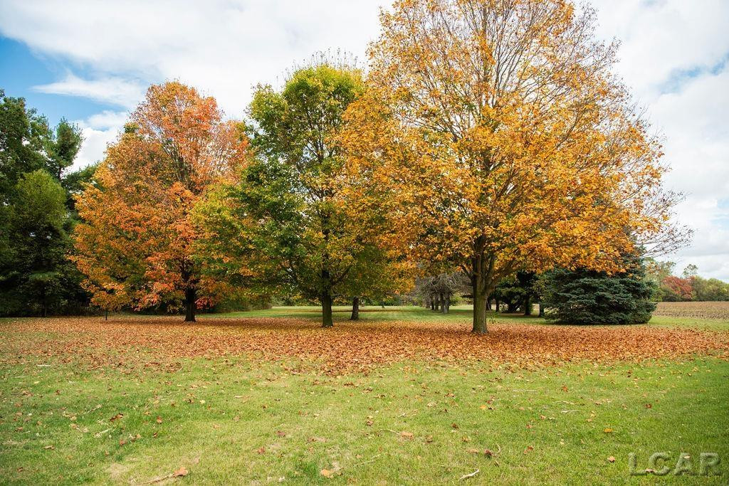 8288 Packard Road, Morenci, MI 49256 — Photo 5