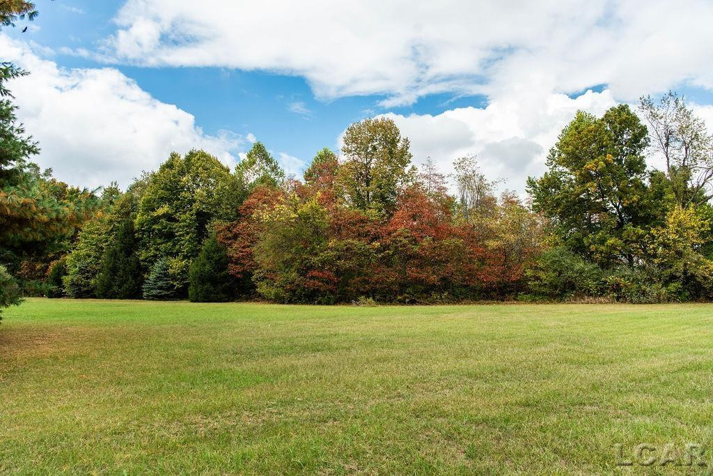 8288 Packard Road, Morenci, MI 49256 — Photo 9