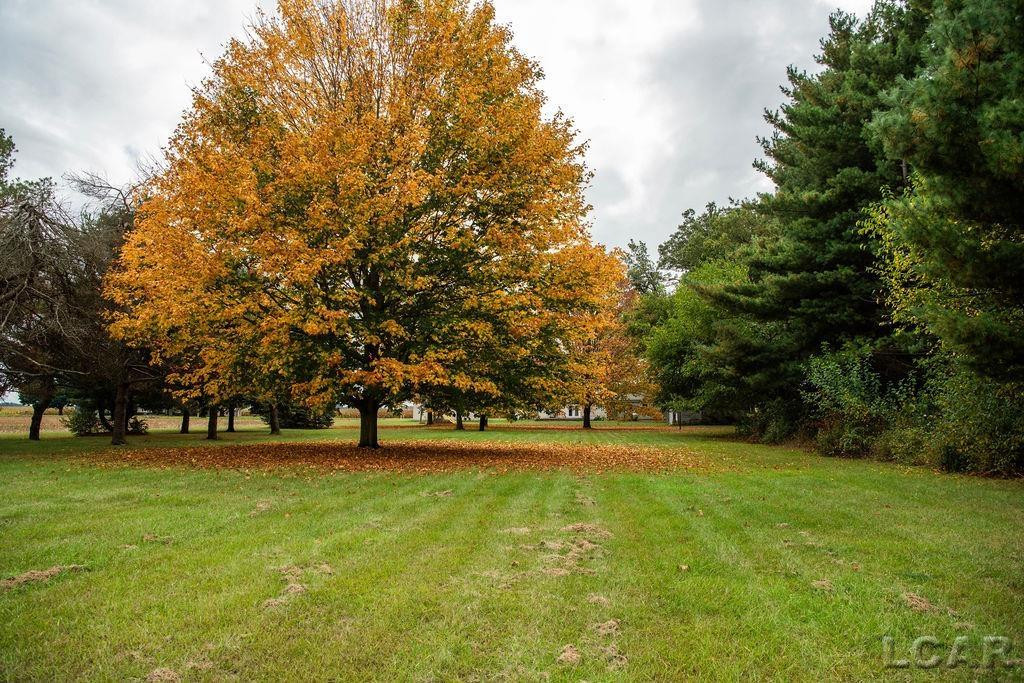 8288 Packard Road, Morenci, MI 49256 — Photo 10