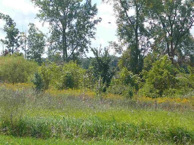 4235 Cahokia Ridge, Linden, MI 48451 — Photo 2