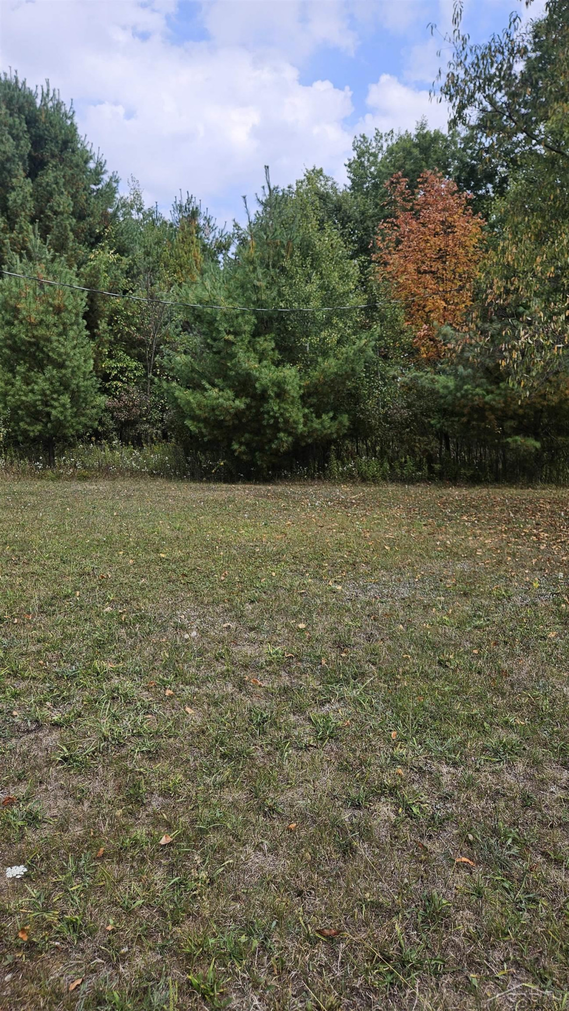 5933 15th Avenue, Sears, MI 49679 — Photo 36