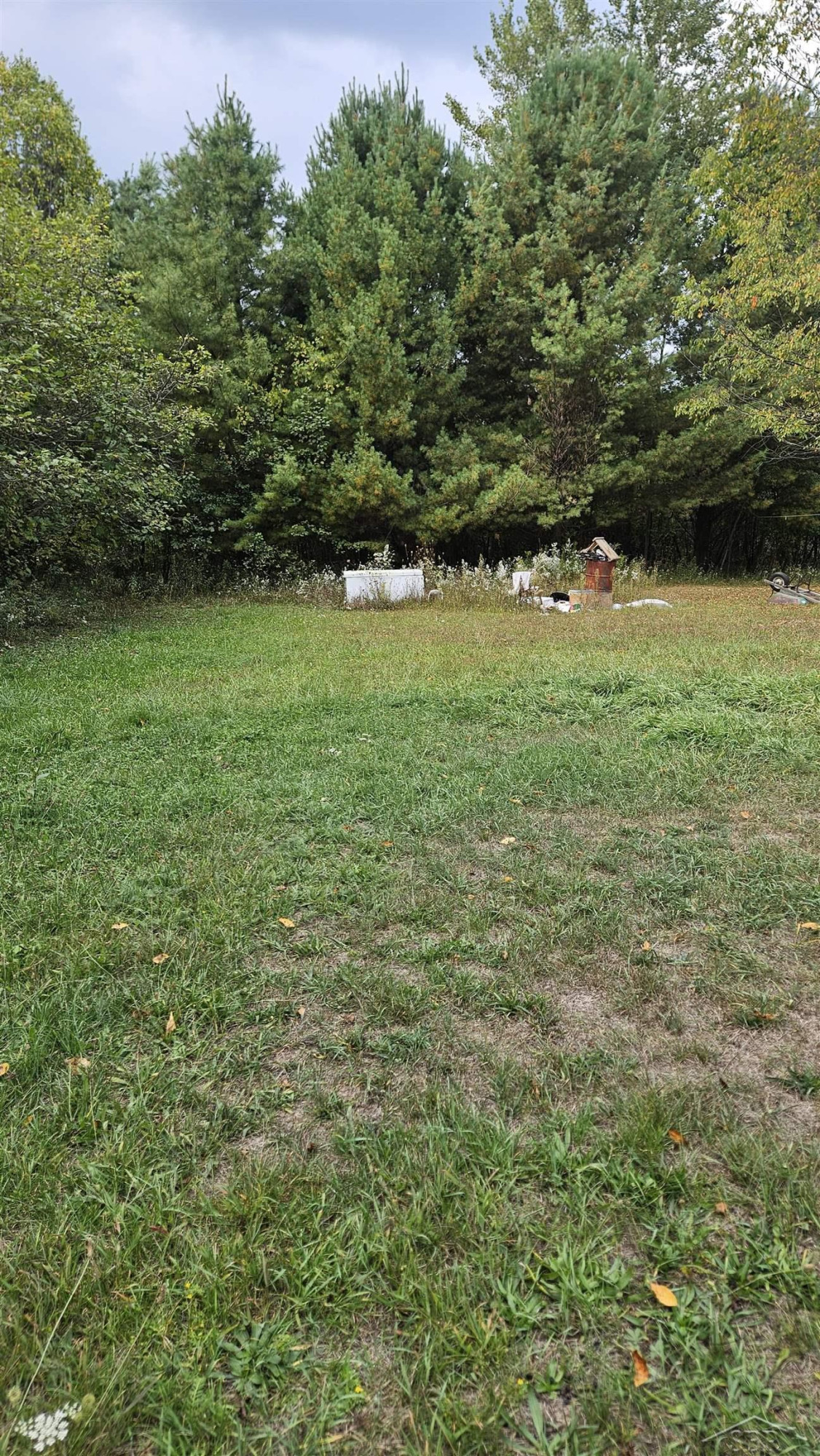 5933 15th Avenue, Sears, MI 49679 — Photo 41