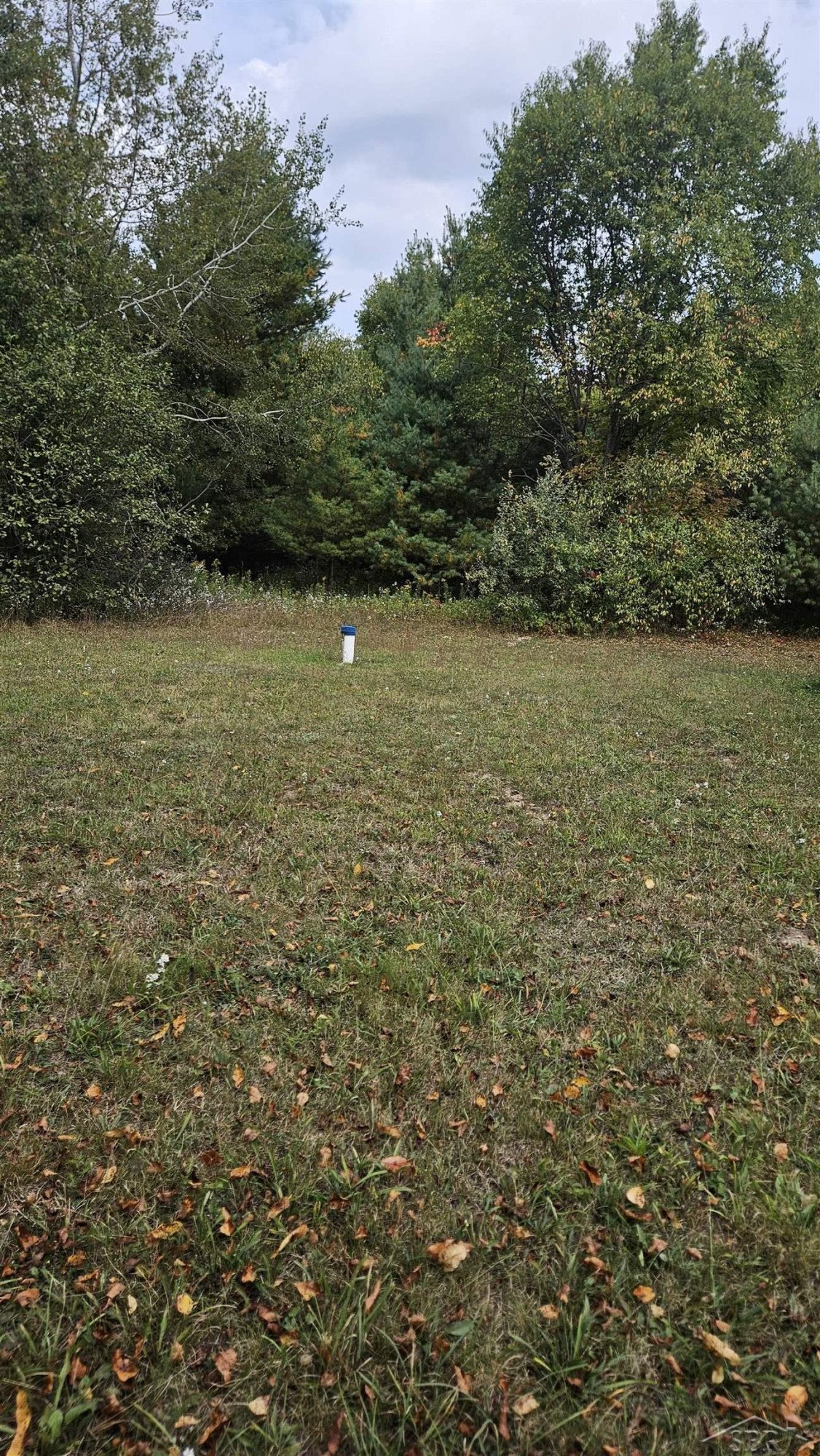 5933 15th Avenue, Sears, MI 49679 — Photo 44