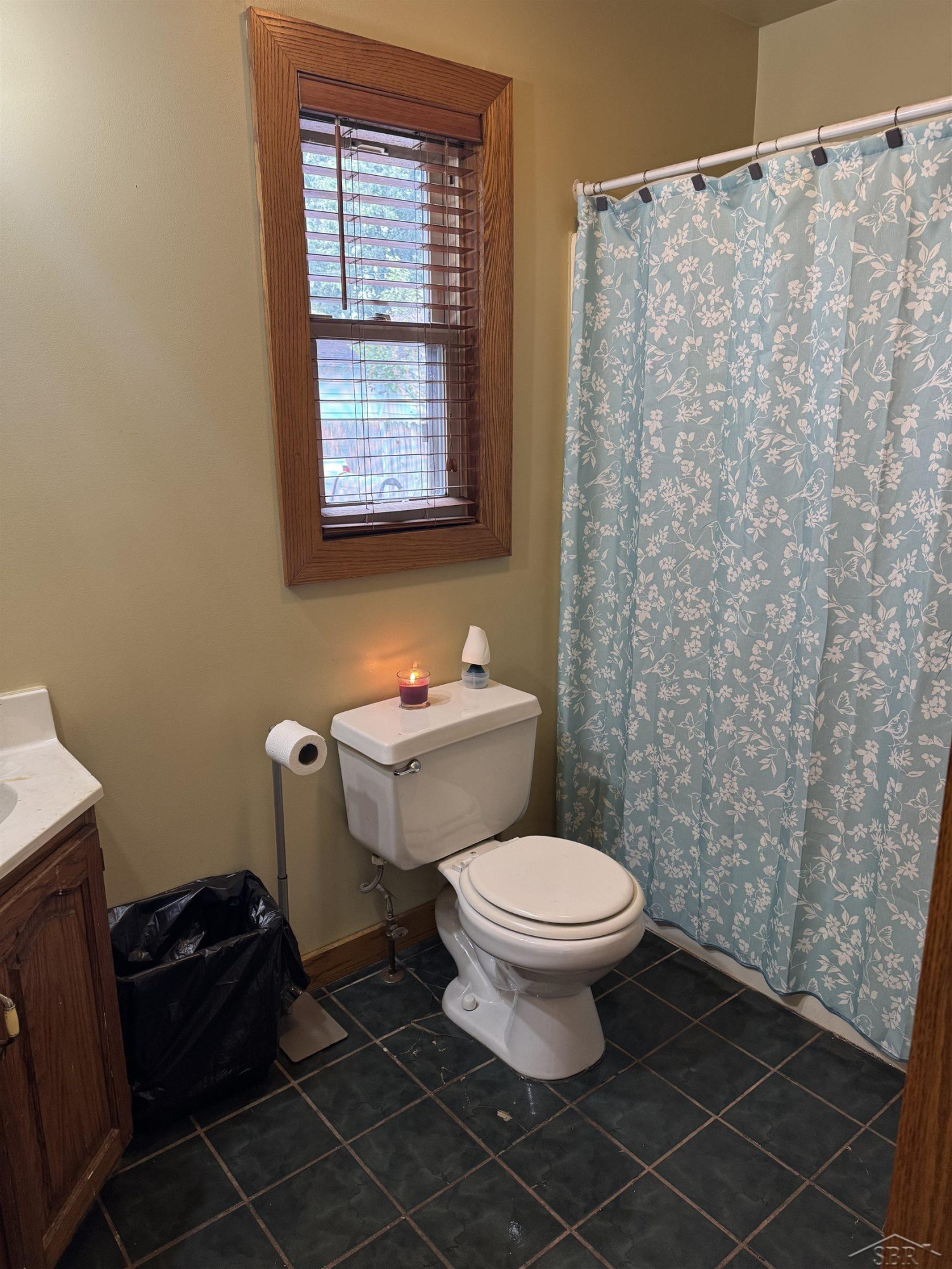 135 W WALNUT Street, Saint Charles, MI 48655 — Photo 18