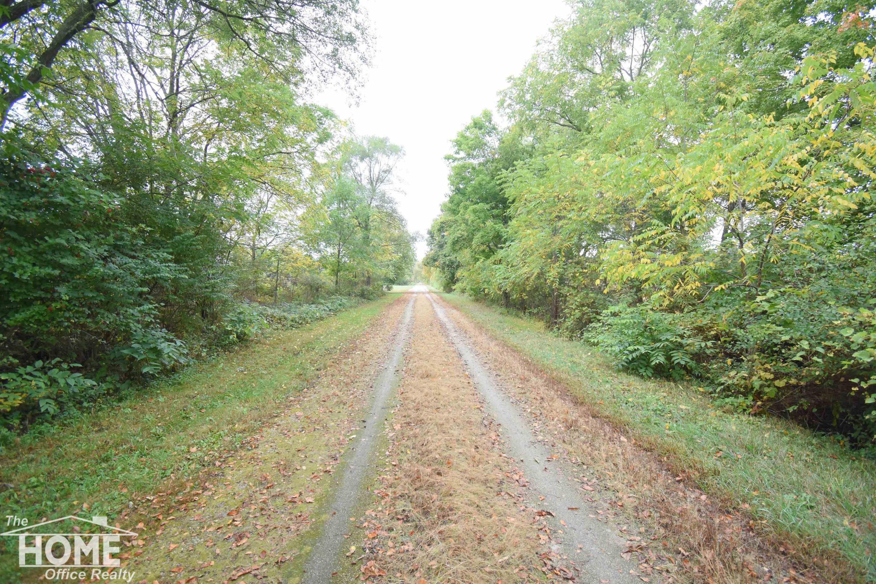 6687 Winfield Road, Ovid, MI 48866 — Photo 21