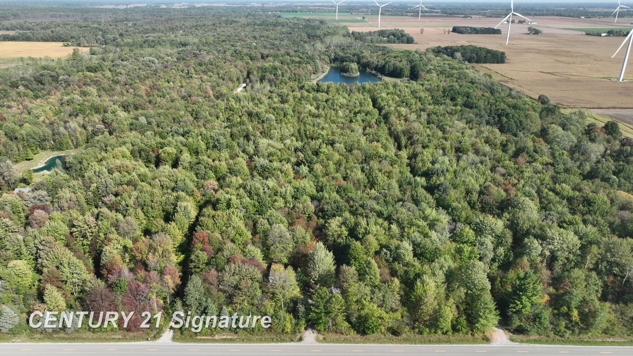 3143 S Homer Road, Merrill, MI 48637 — Photo 14