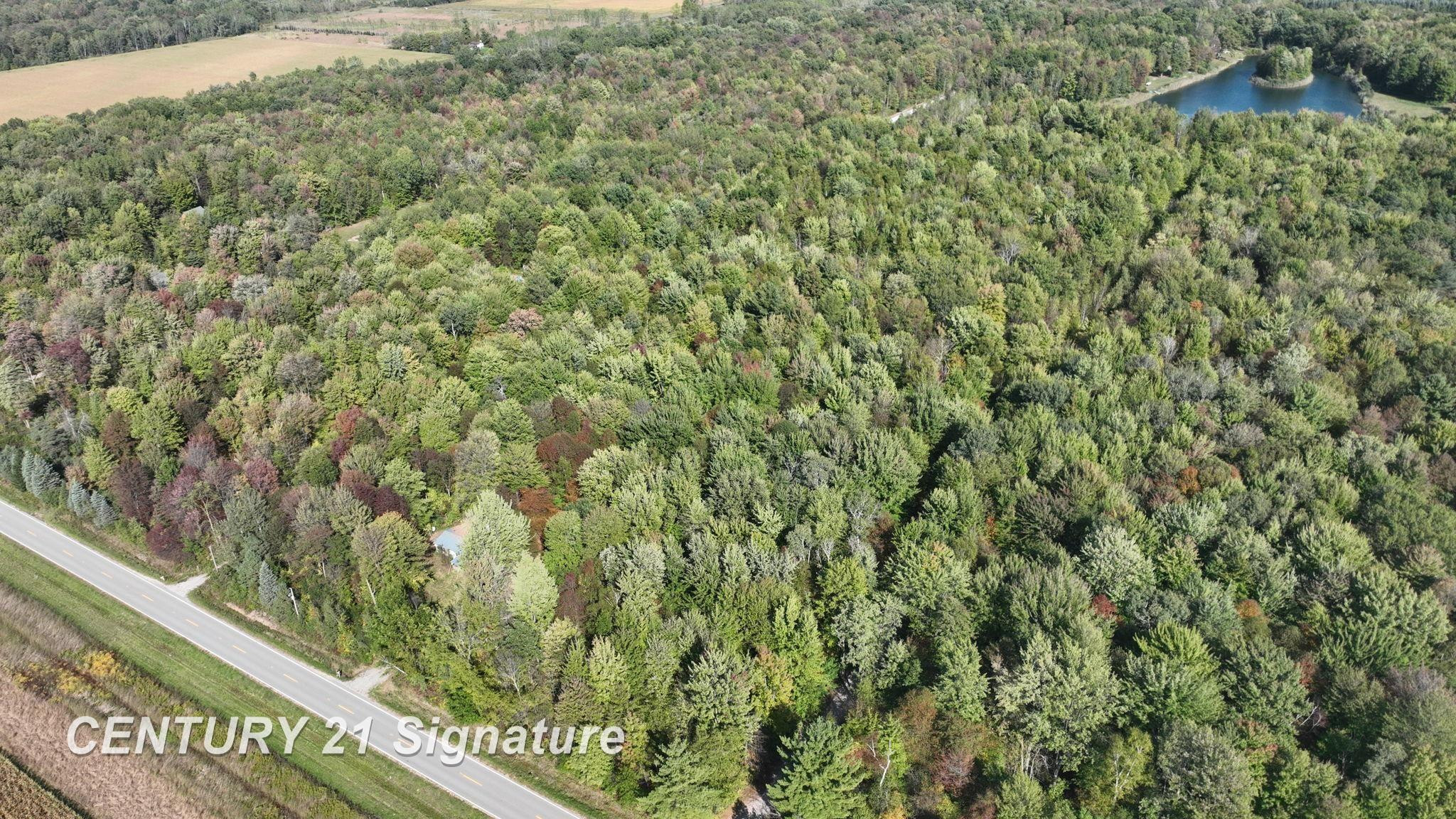 3143 S Homer Road, Merrill, MI 48637 — Photo 15