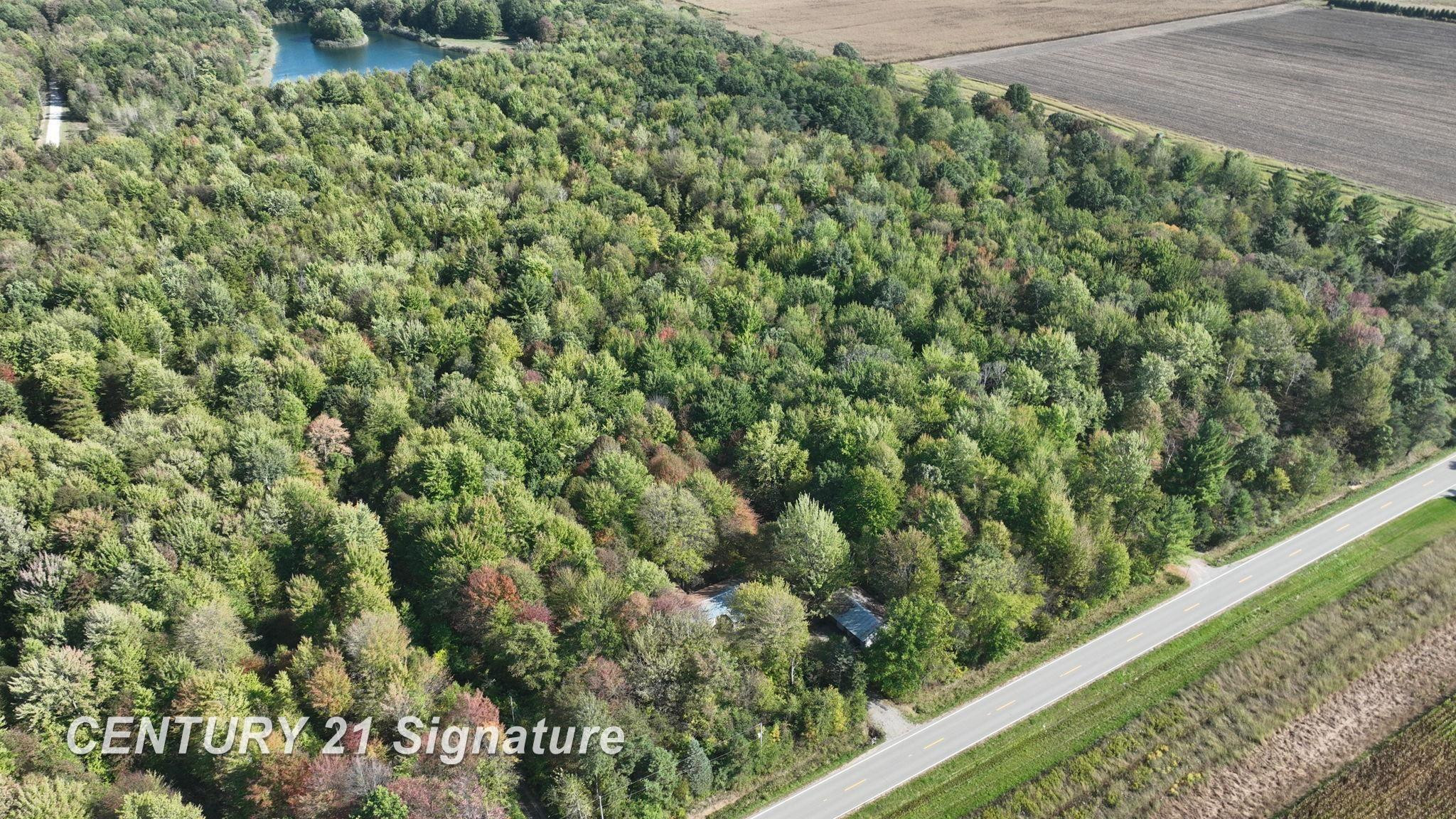 3143 S Homer Road, Merrill, MI 48637 — Photo 16