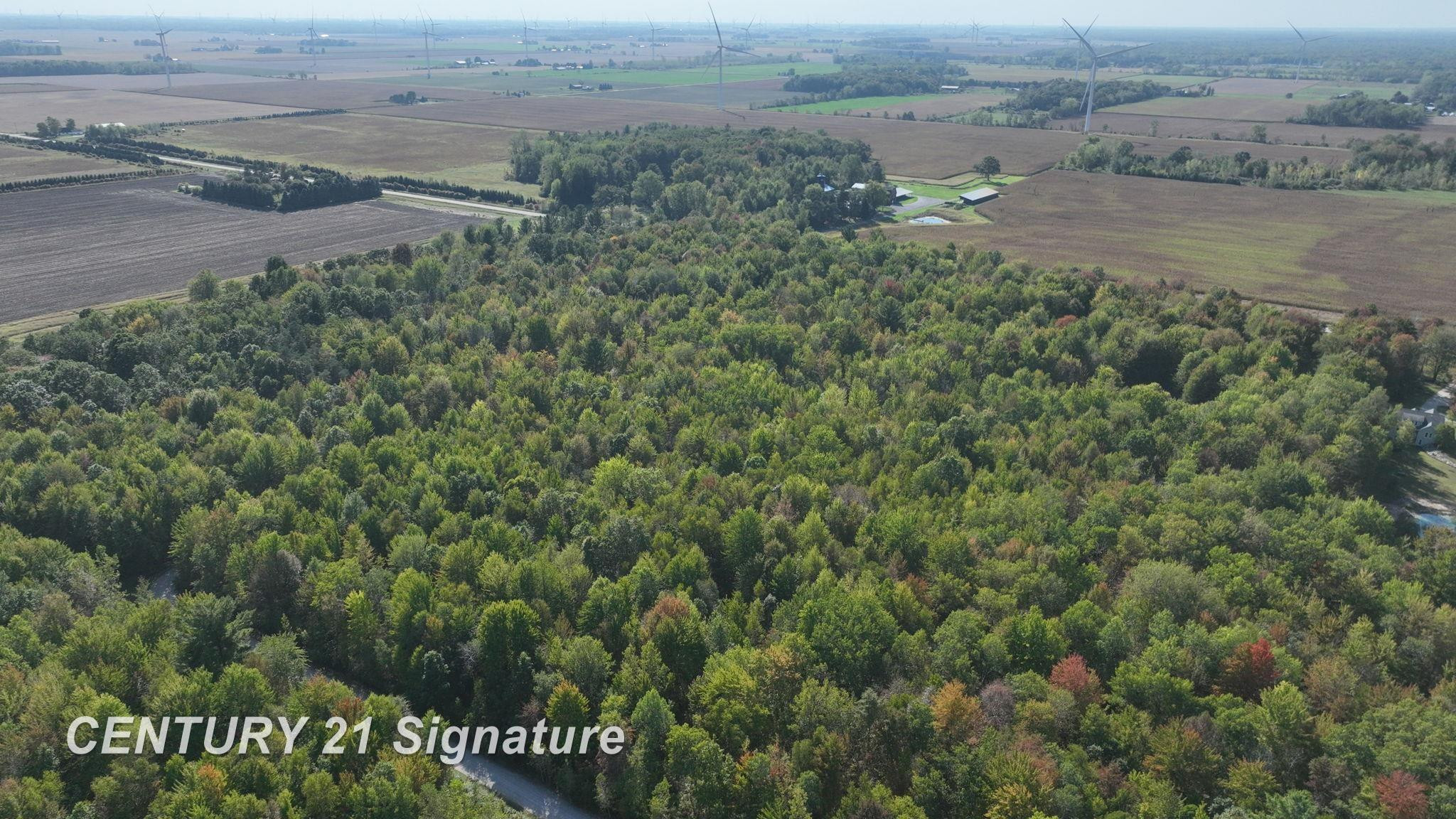3143 S Homer Road, Merrill, MI 48637 — Photo 17