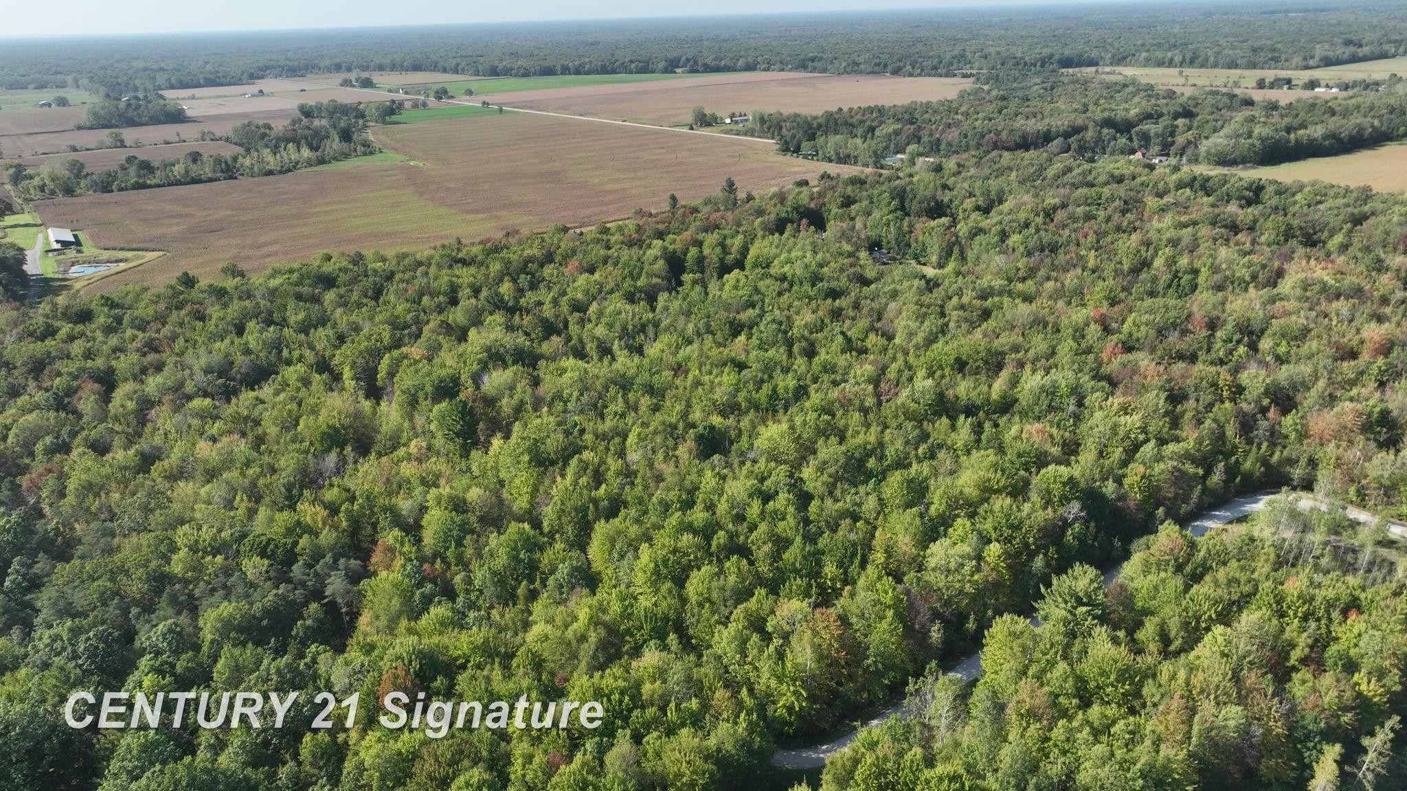 3143 S Homer Road, Merrill, MI 48637 — Photo 18