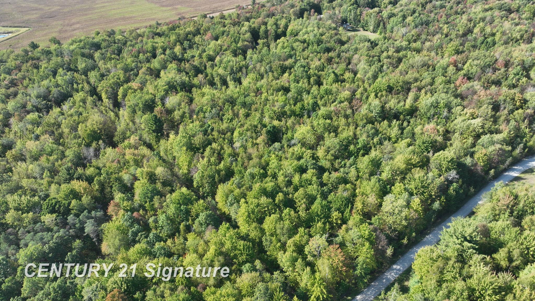 3143 S Homer Road, Merrill, MI 48637 — Photo 19