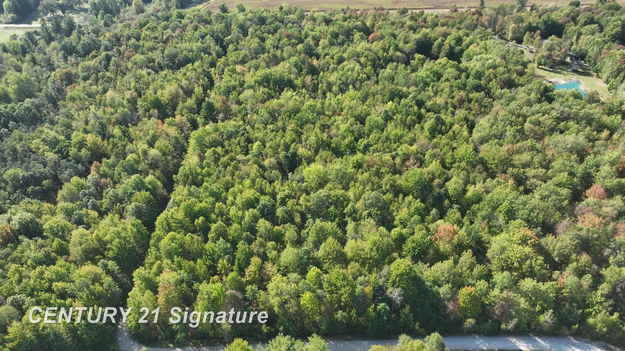 3143 S Homer Road, Merrill, MI 48637 — Photo 21