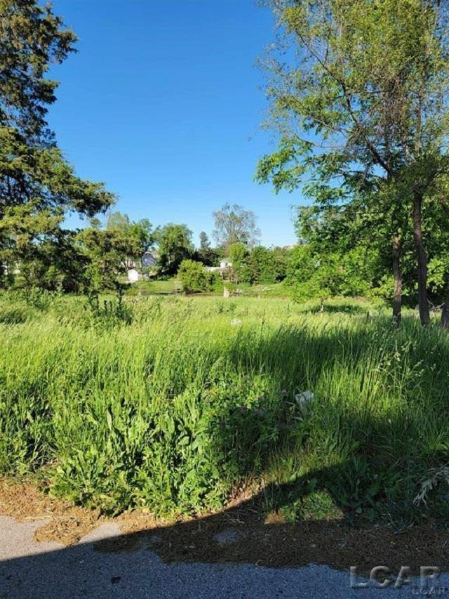 10000 M50 Road, Onsted, MI 49265 — Photo 2