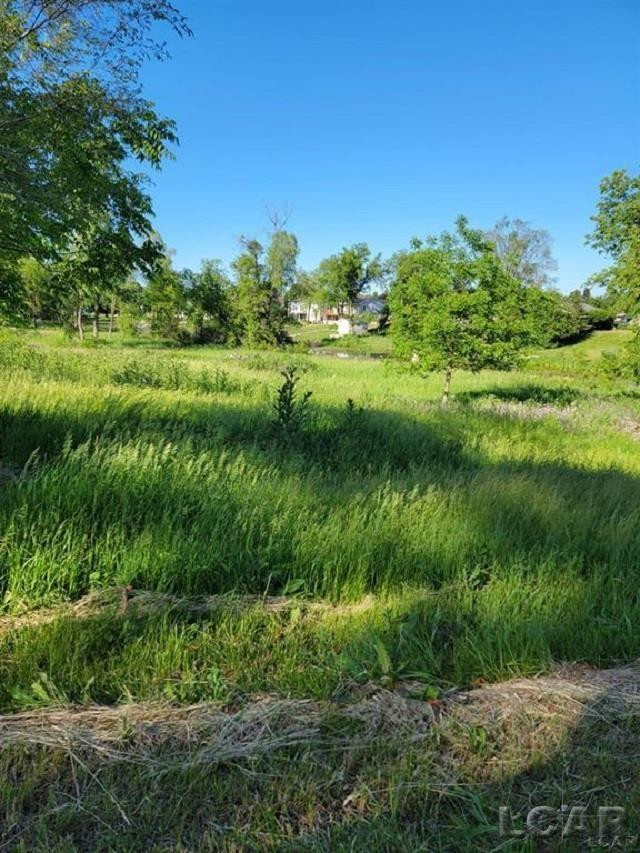 10000 M50 Road, Onsted, MI 49265 — Photo 3