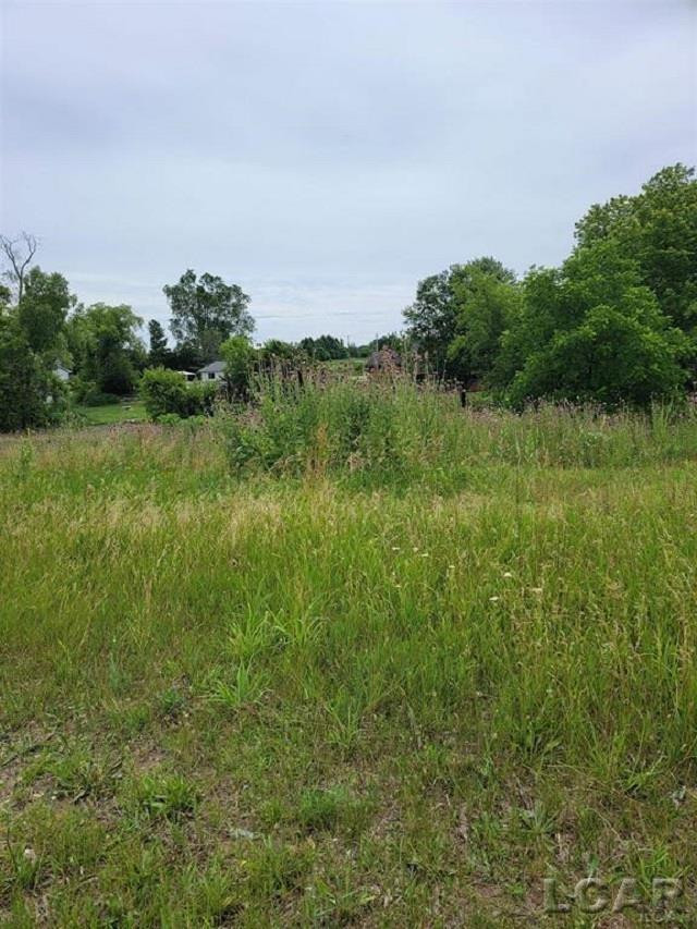 10000 M50 Road, Onsted, MI 49265 — Photo 4