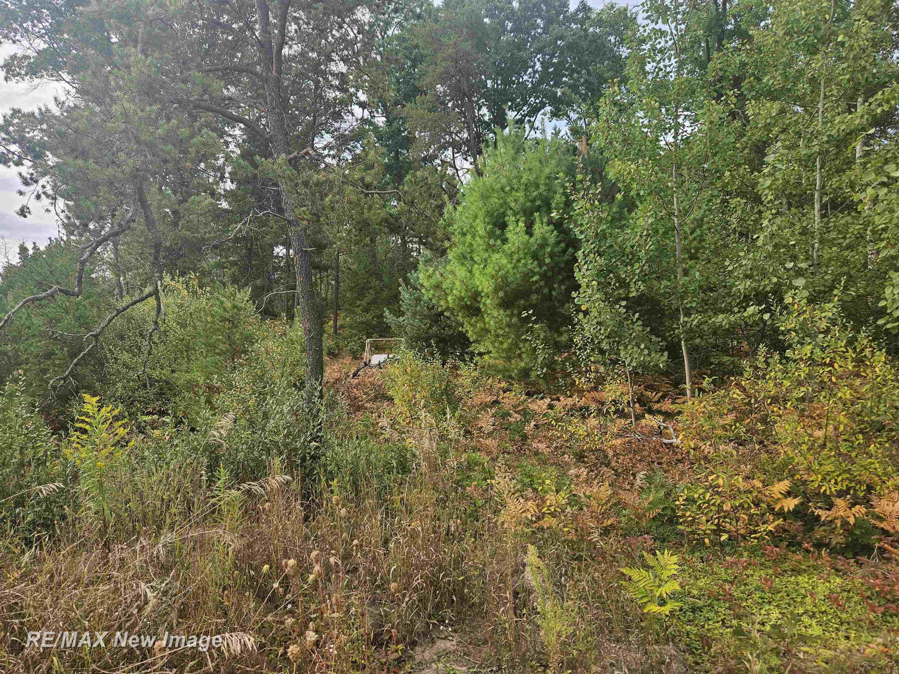 200 W Park Road, Harrison, MI 48625