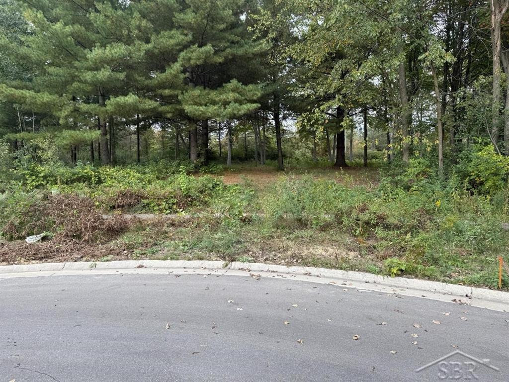 6210 Evergreen Court, Midland, MI 48642 — front exterior