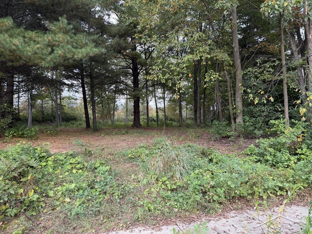 6210 Evergreen Court, Midland, MI 48642 — Photo 2