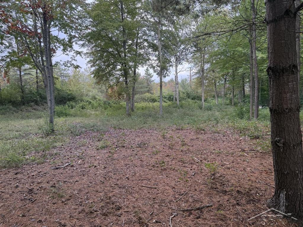 6210 Evergreen Court, Midland, MI 48642 — Photo 4