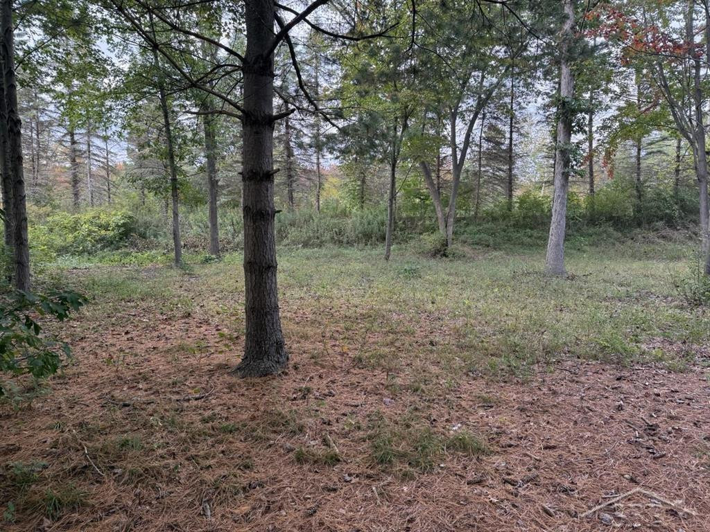 6210 Evergreen Court, Midland, MI 48642 — Photo 5