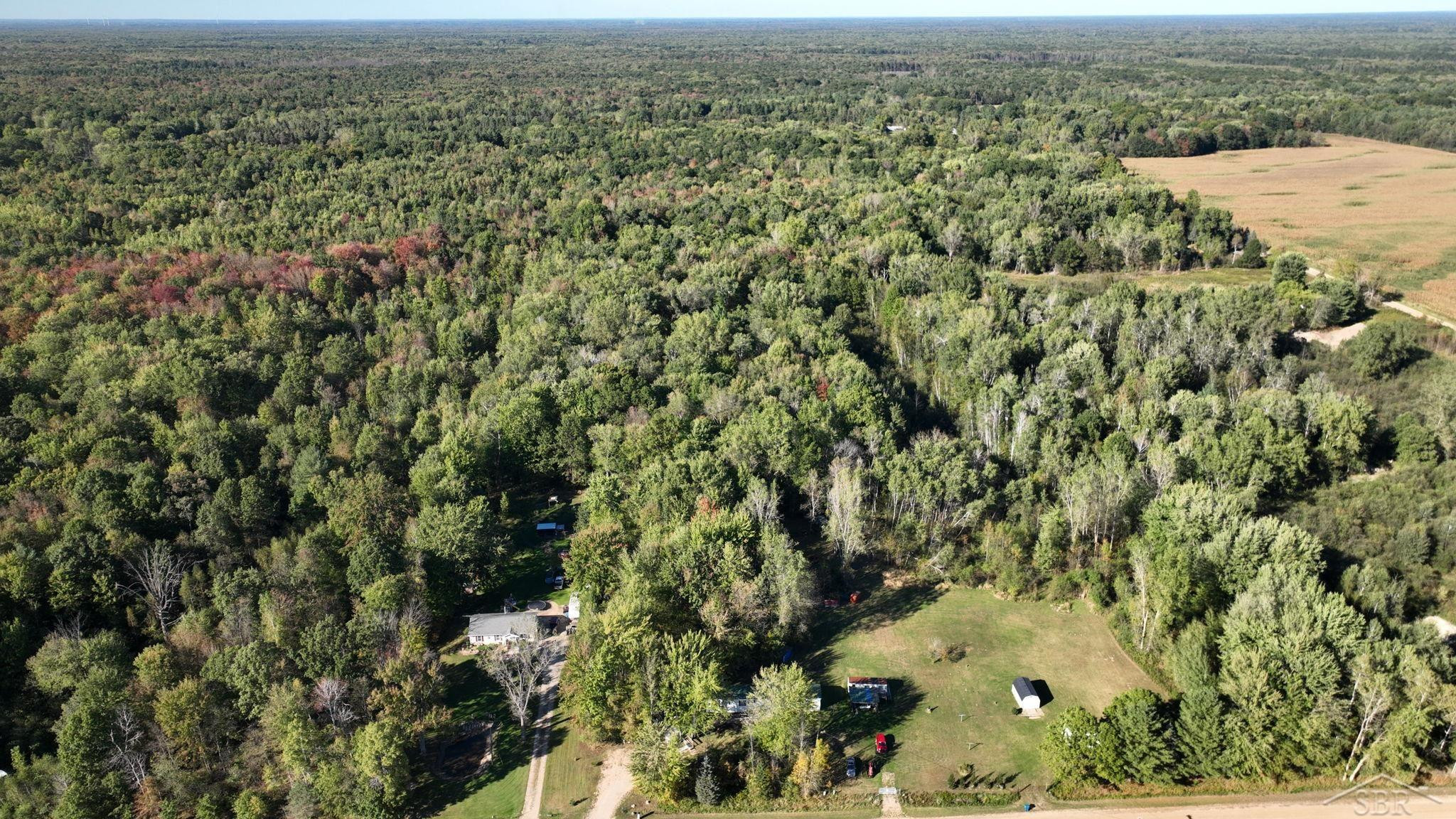 4596 W Gordonville Road, Shepherd, MI 48883 — Photo 14