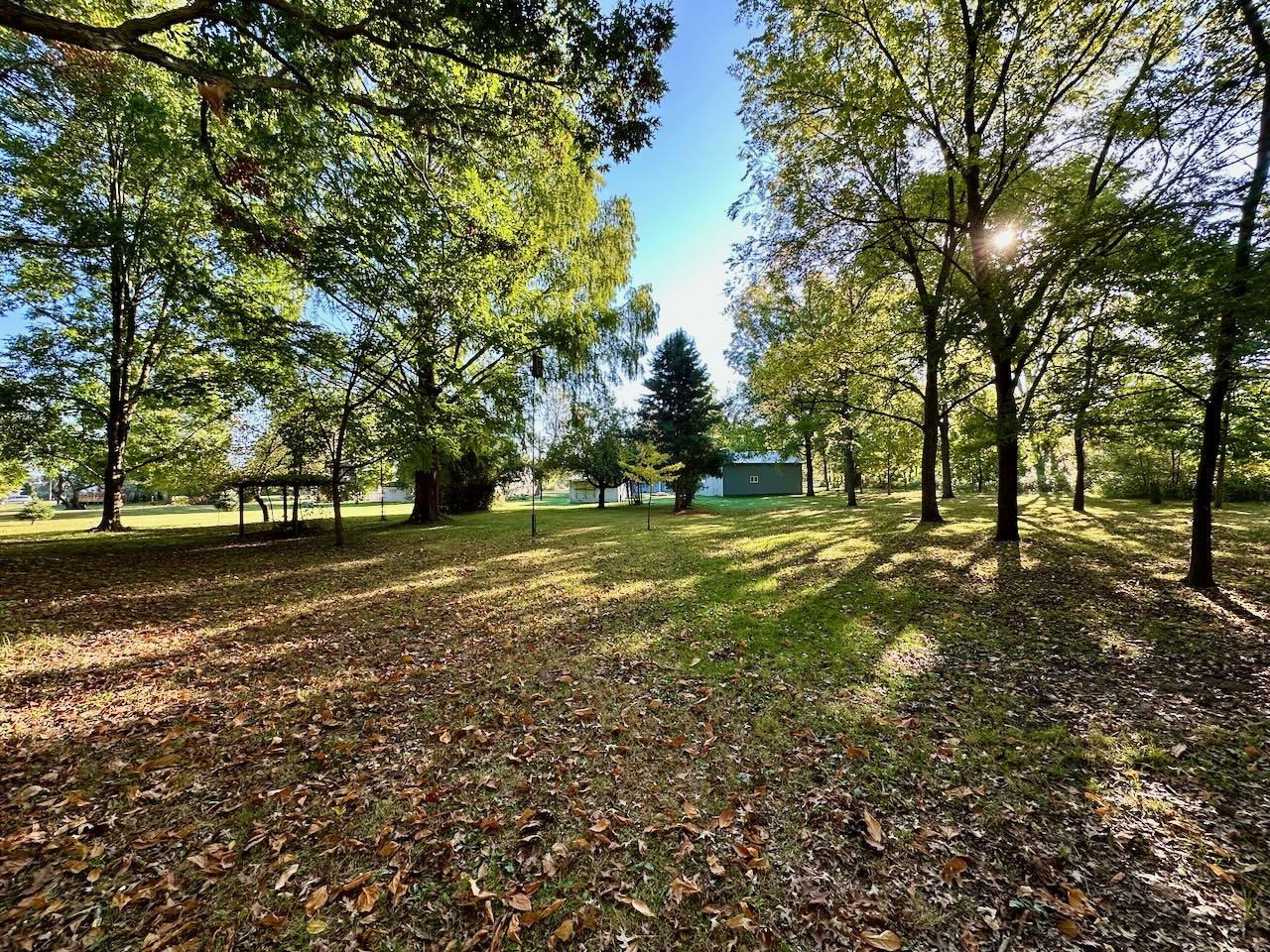 1017 N Line Street, Chesaning, MI 48616 — Photo 12