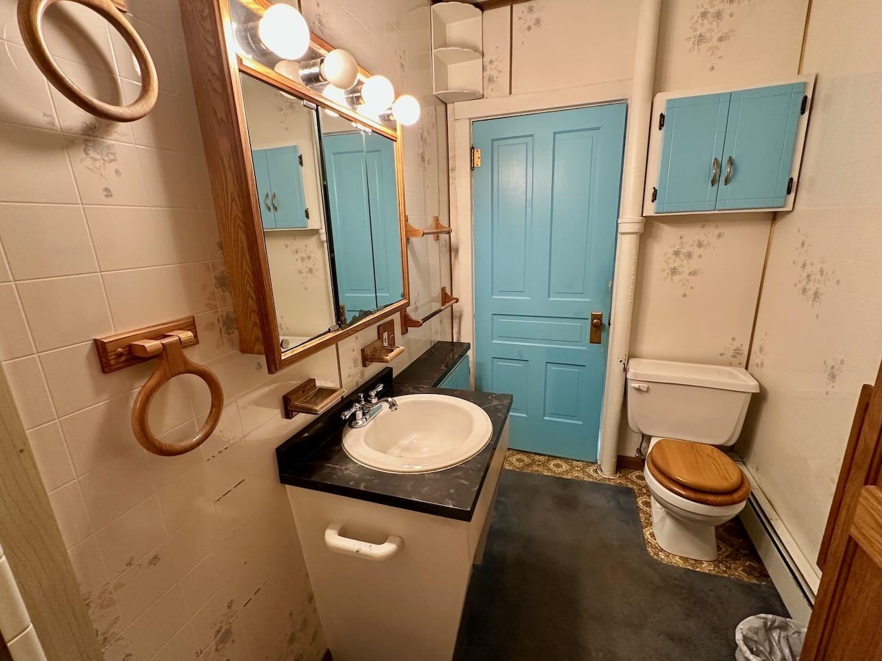 1017 N Line Street, Chesaning, MI 48616 — Photo 24