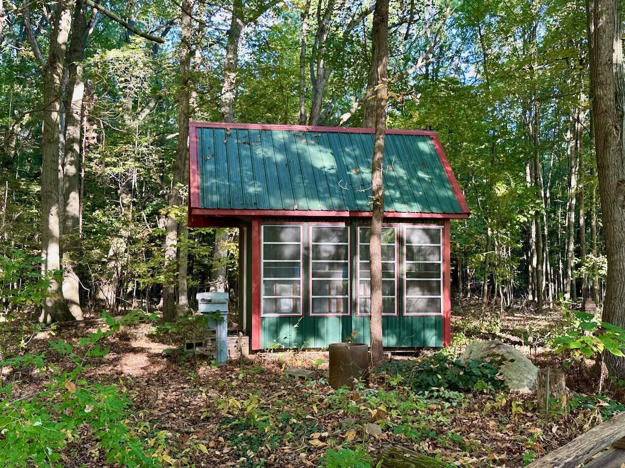 1017 N Line Street, Chesaning, MI 48616 — Photo 39
