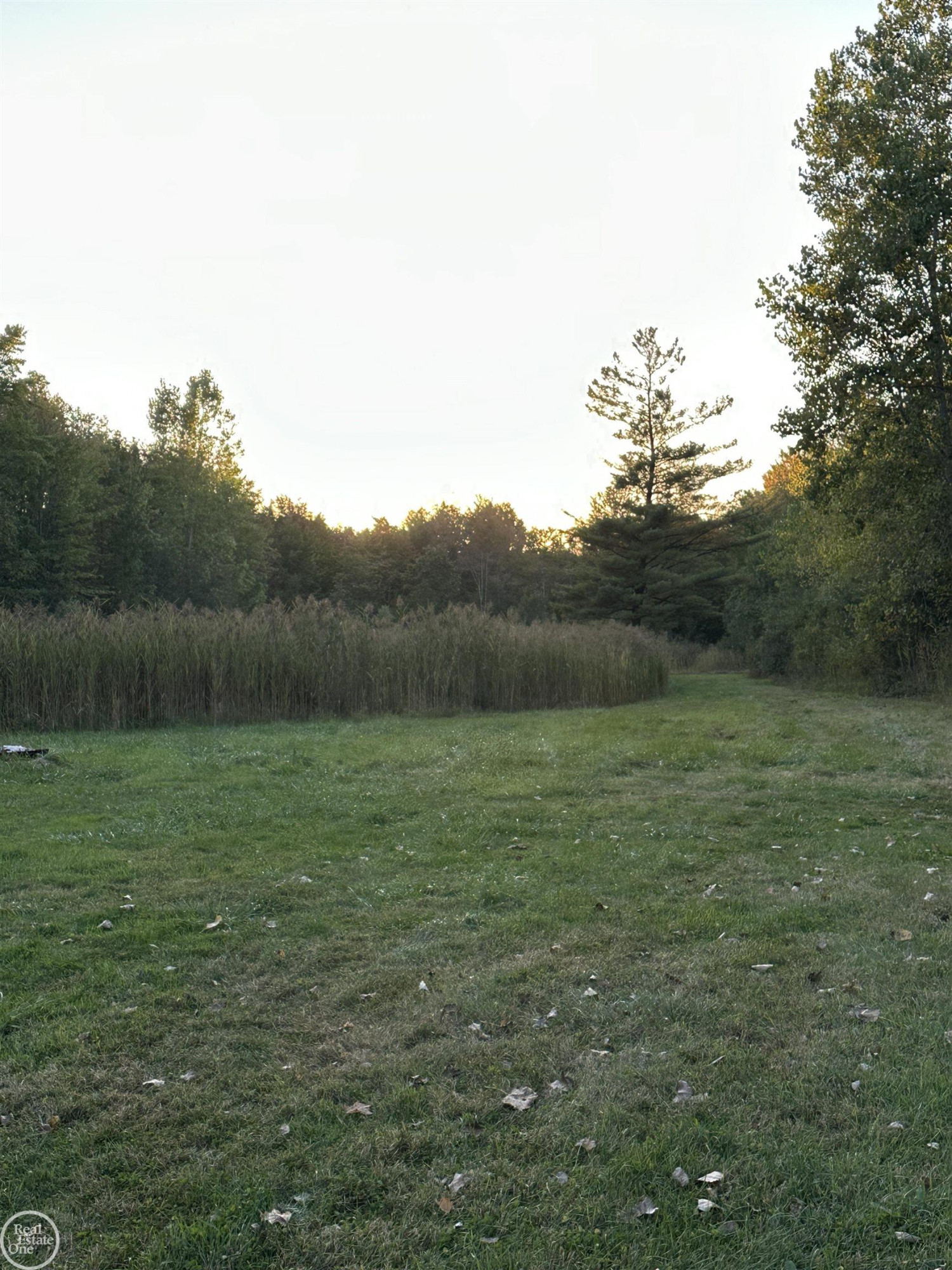 1261 Sturdevant Road, Kimball, MI — Photo 11