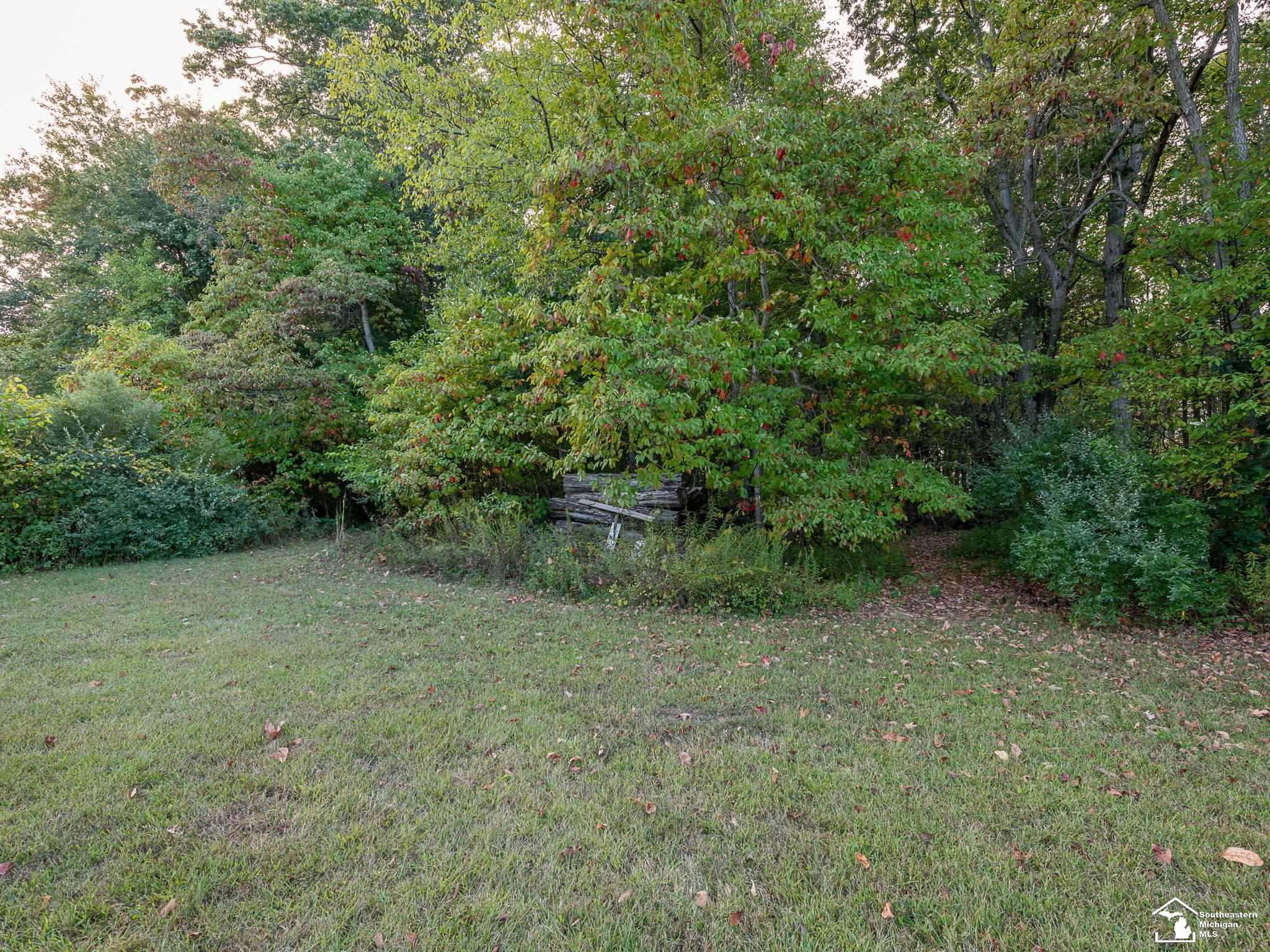 5150 Wells Road, Petersburg, MI 49270 — Photo 49