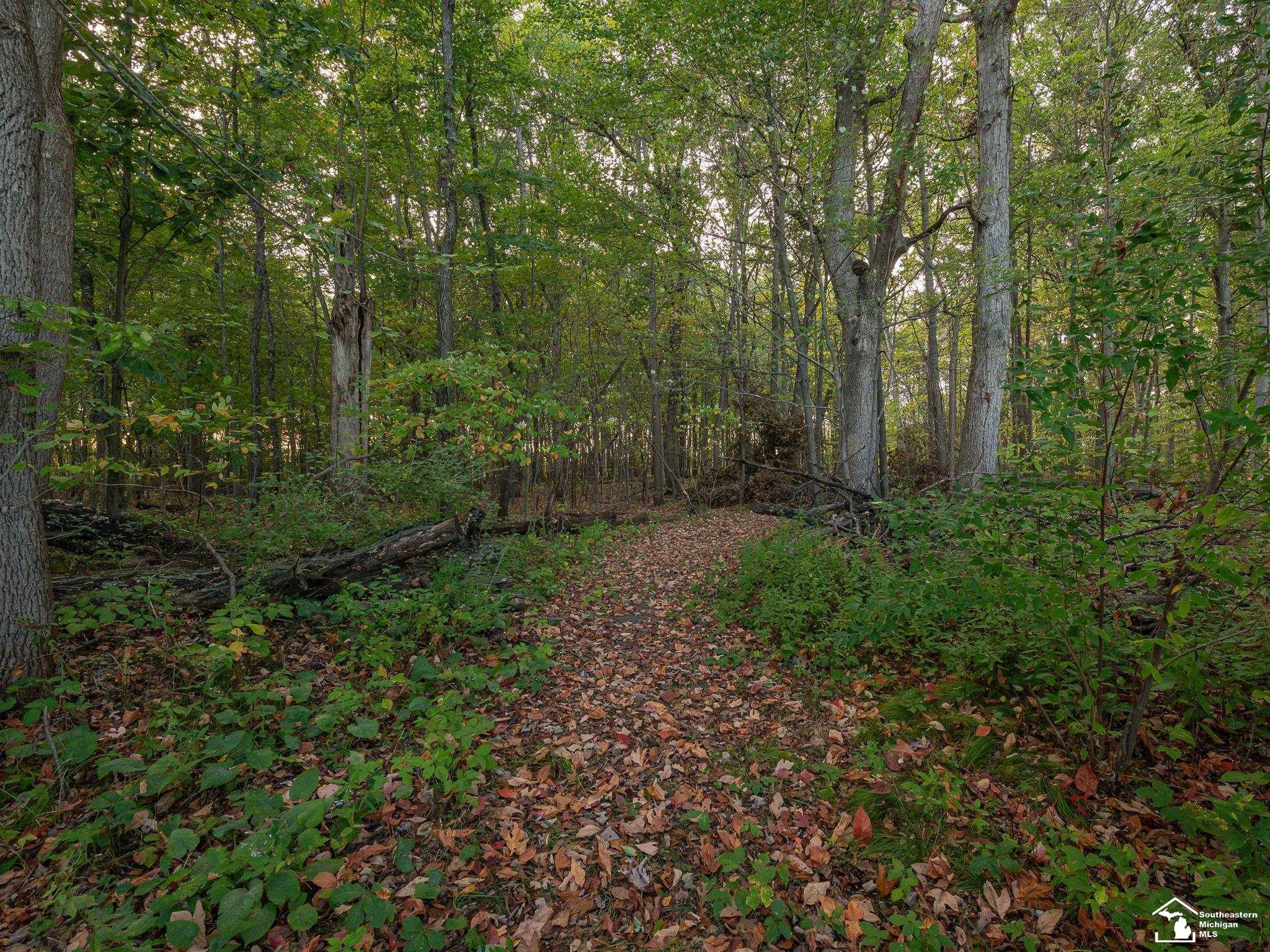 5150 Wells Road, Petersburg, MI 49270 — Photo 50
