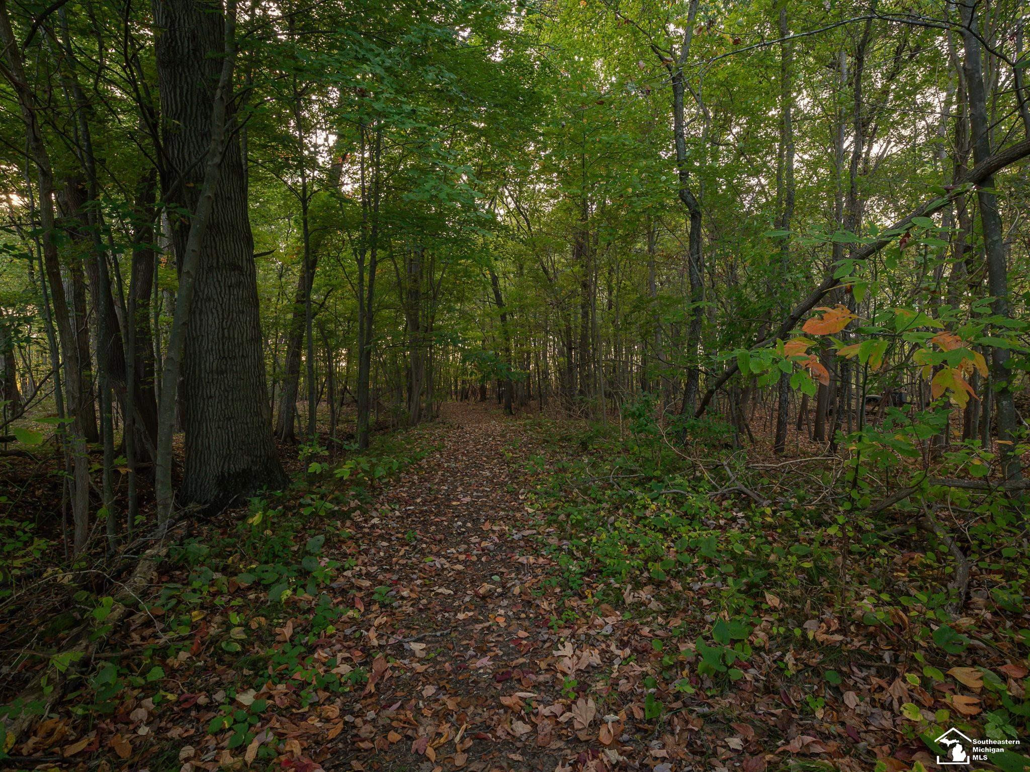 5150 Wells Road, Petersburg, MI 49270 — Photo 51