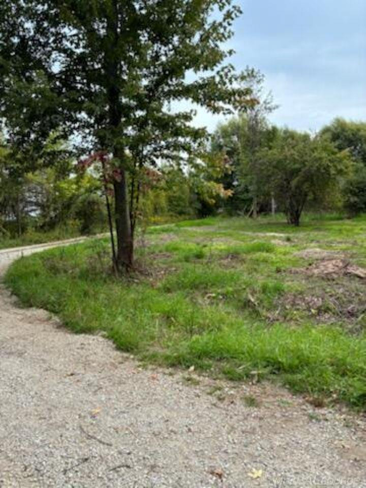 TBD Vicky Drive, MI — Photo 5