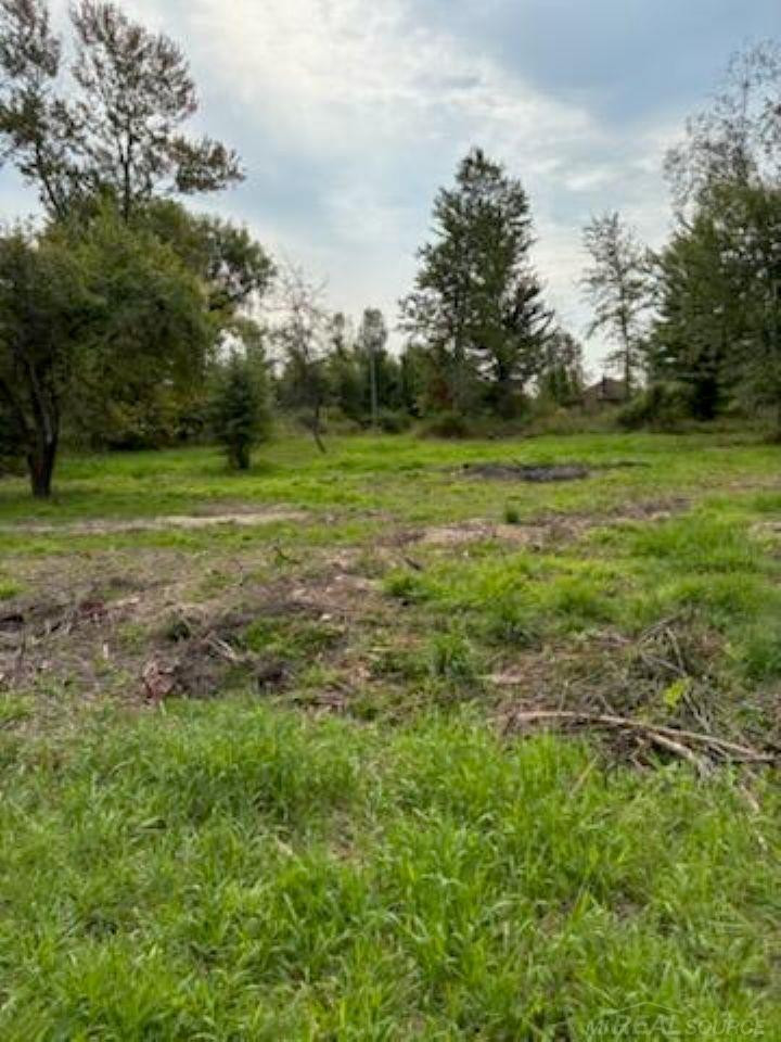 TBD Vicky Drive, MI — Photo 9