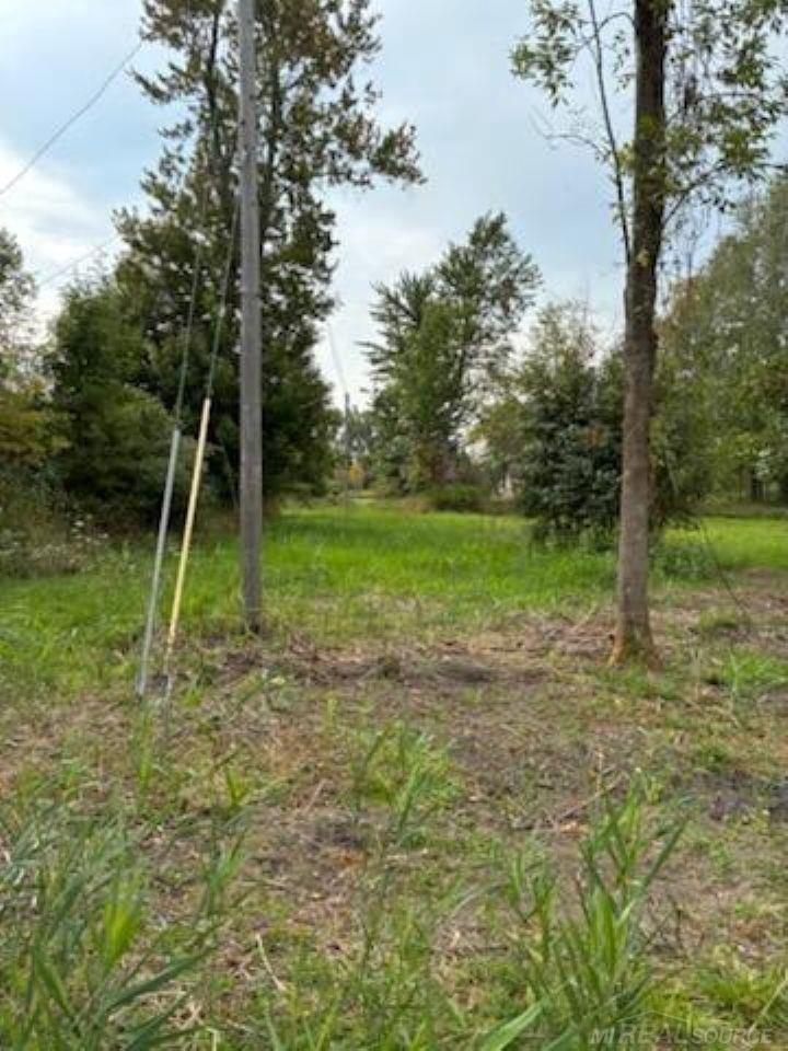 TBD Vicky Drive, MI — Photo 10