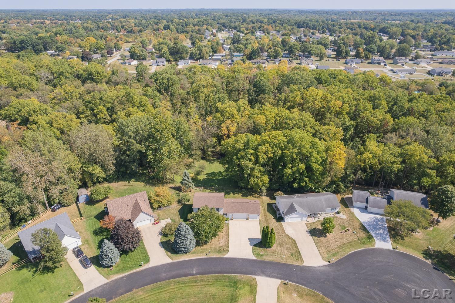 2306 WOODLAWN Lane, Adrian, MI 49221 — Photo 43