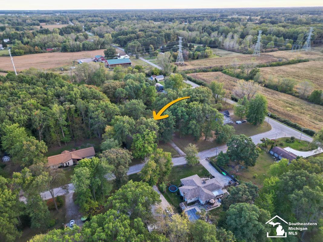 12793 Kelly K Drive, Ida, MI 48140 — Photo 6
