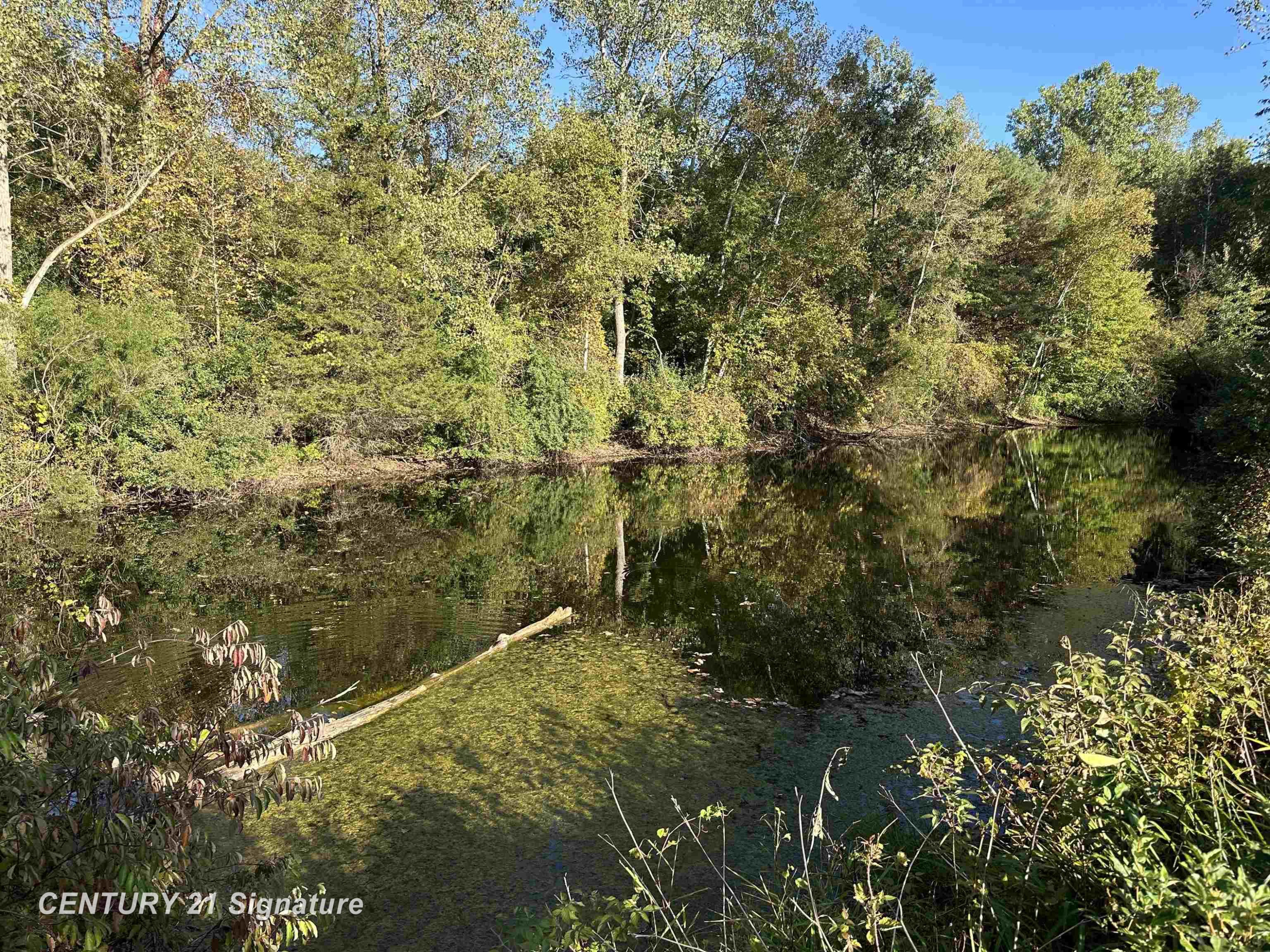 10350 Morrish Road, Montrose, MI 48457 — Photo 22