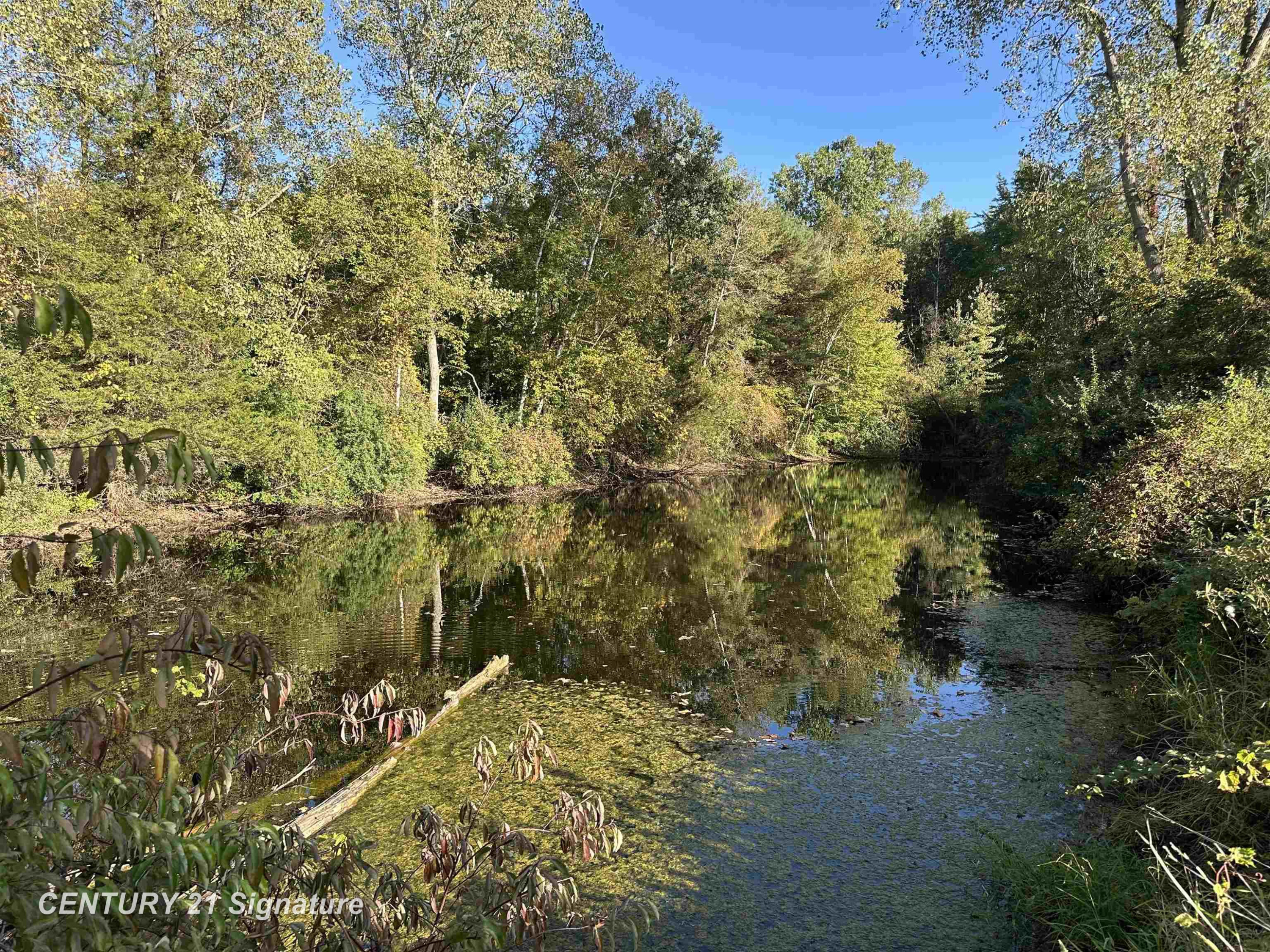 10350 Morrish Road, Montrose, MI 48457 — Photo 23