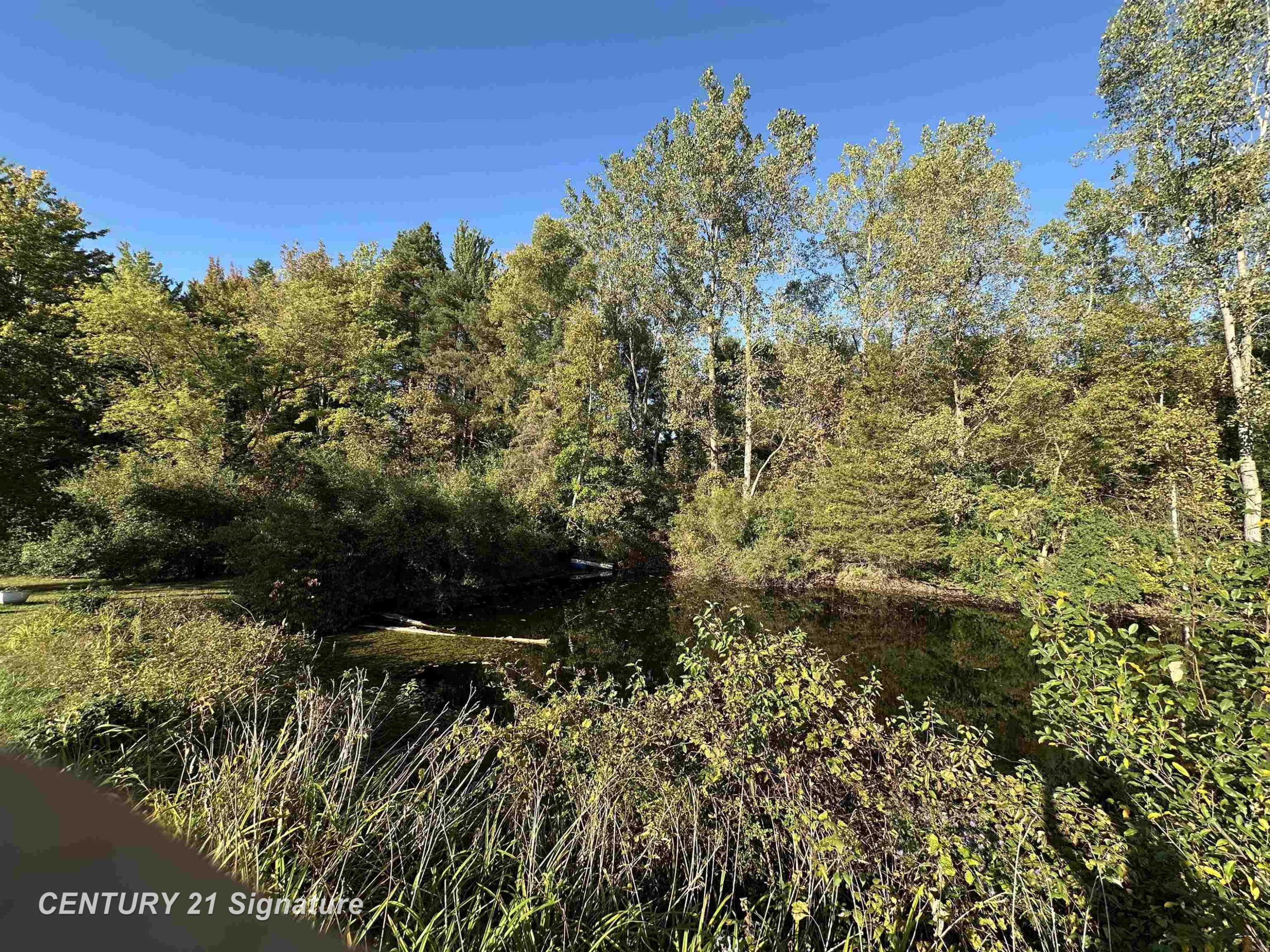10350 Morrish Road, Montrose, MI 48457 — Photo 24