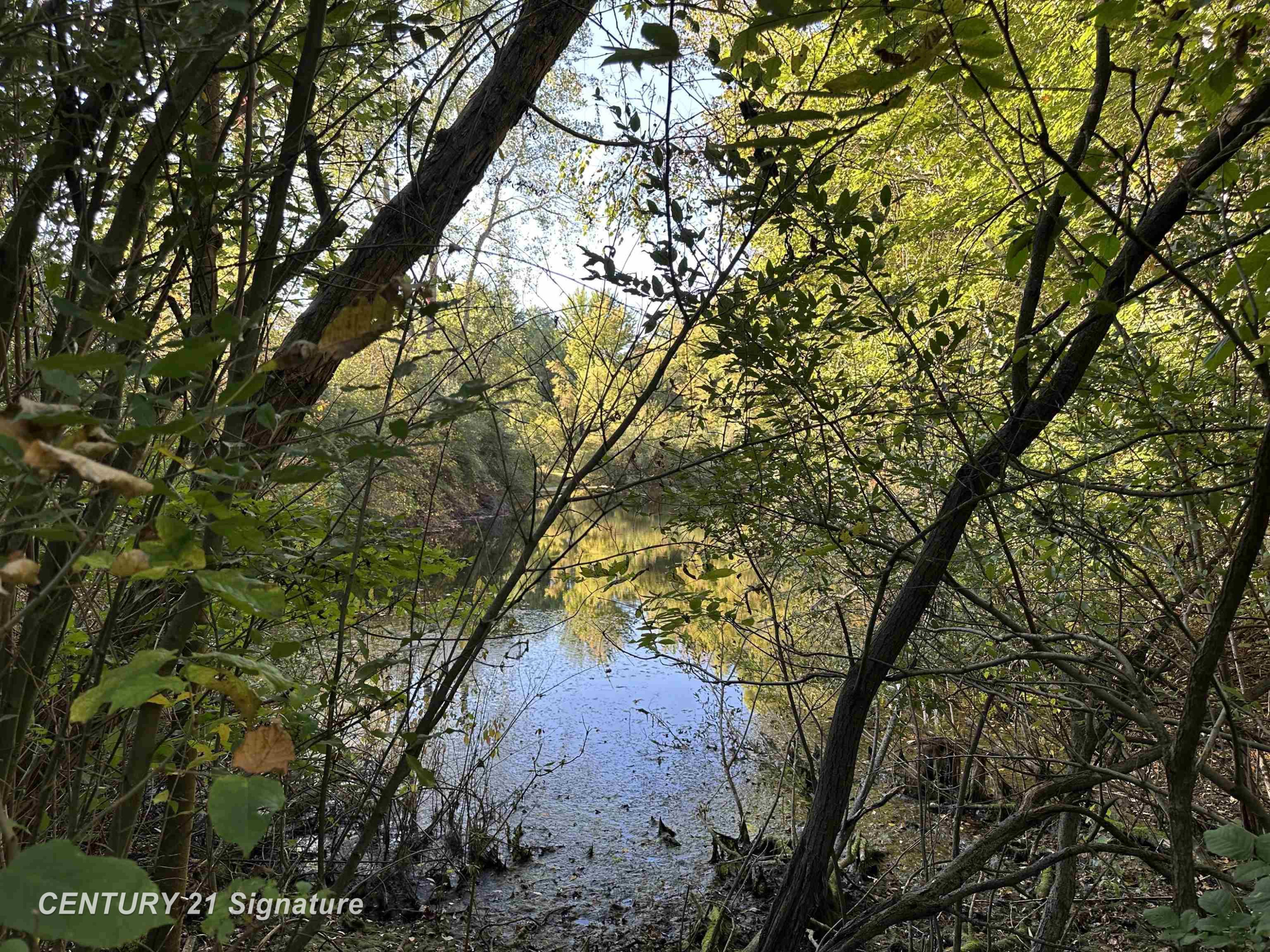 10350 Morrish Road, Montrose, MI 48457 — Photo 26