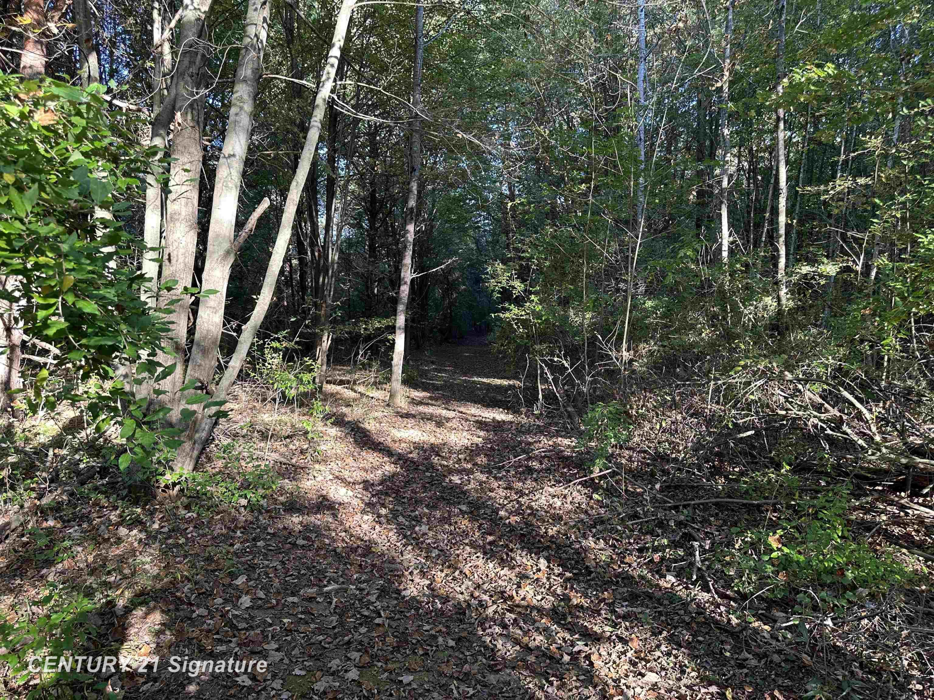10350 Morrish Road, Montrose, MI 48457 — Photo 28