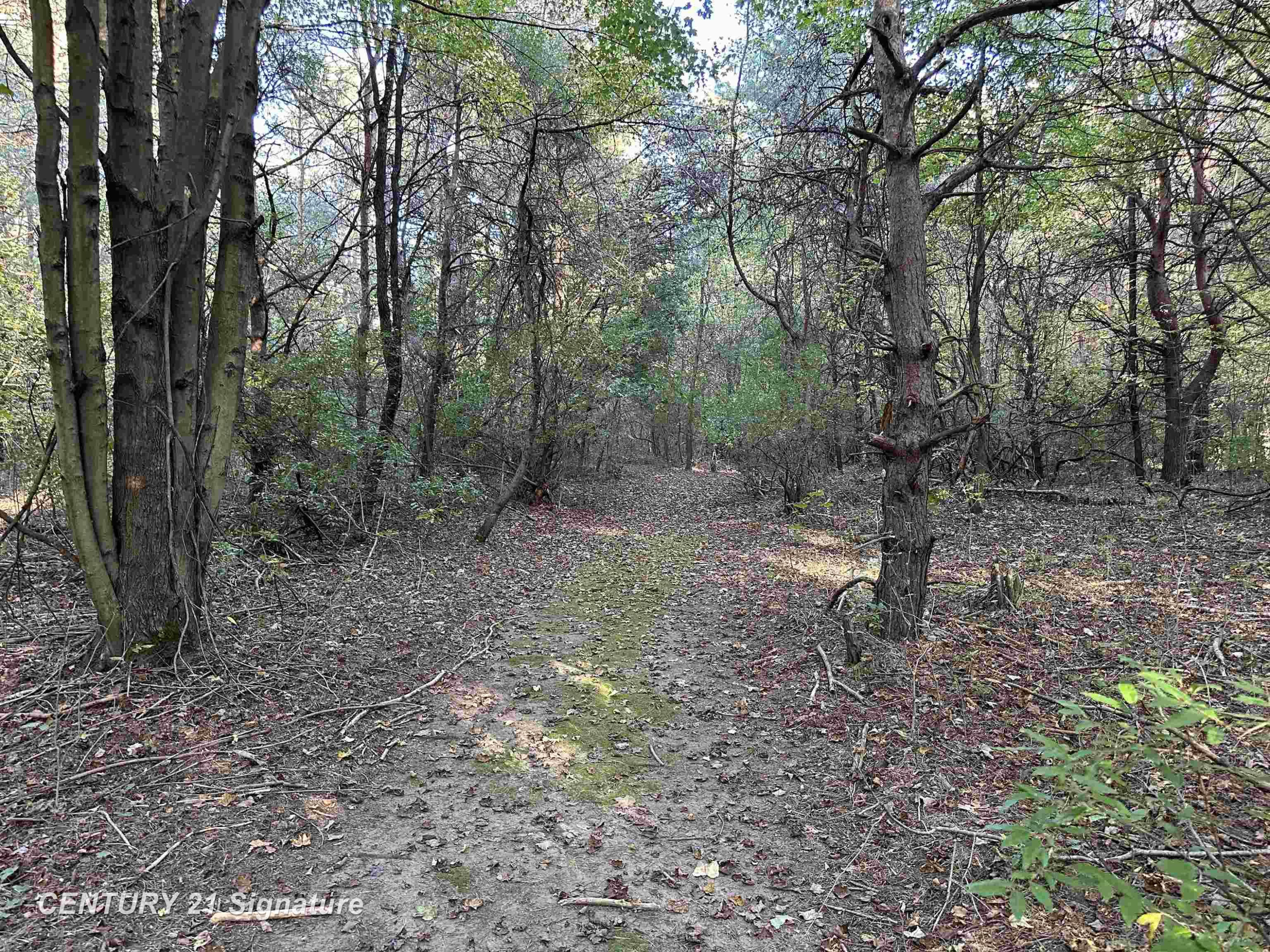 10350 Morrish Road, Montrose, MI 48457 — Photo 30