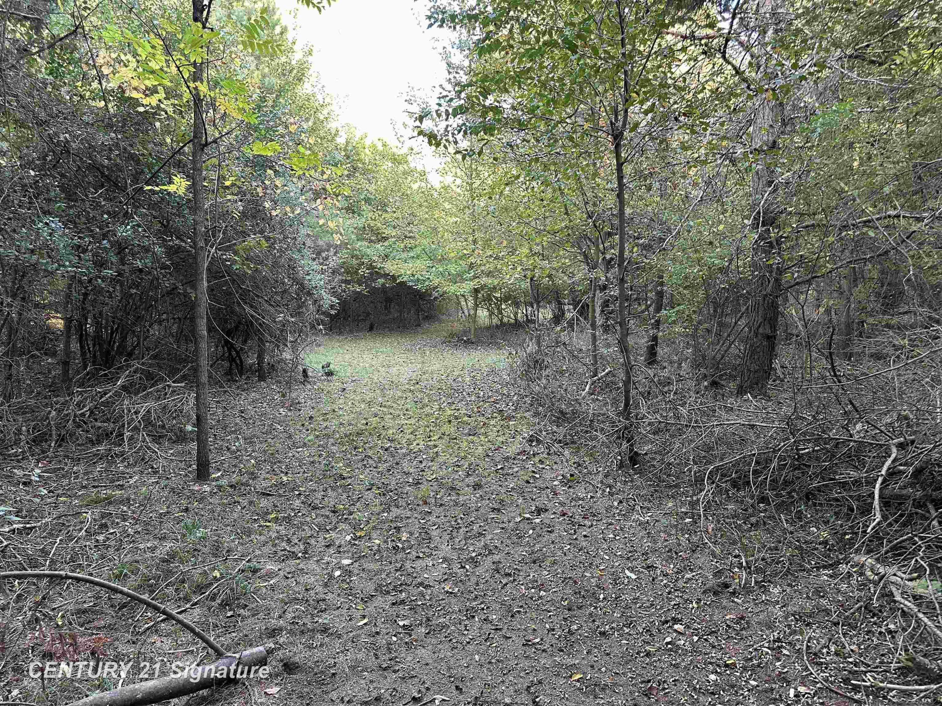 10350 Morrish Road, Montrose, MI 48457 — Photo 31