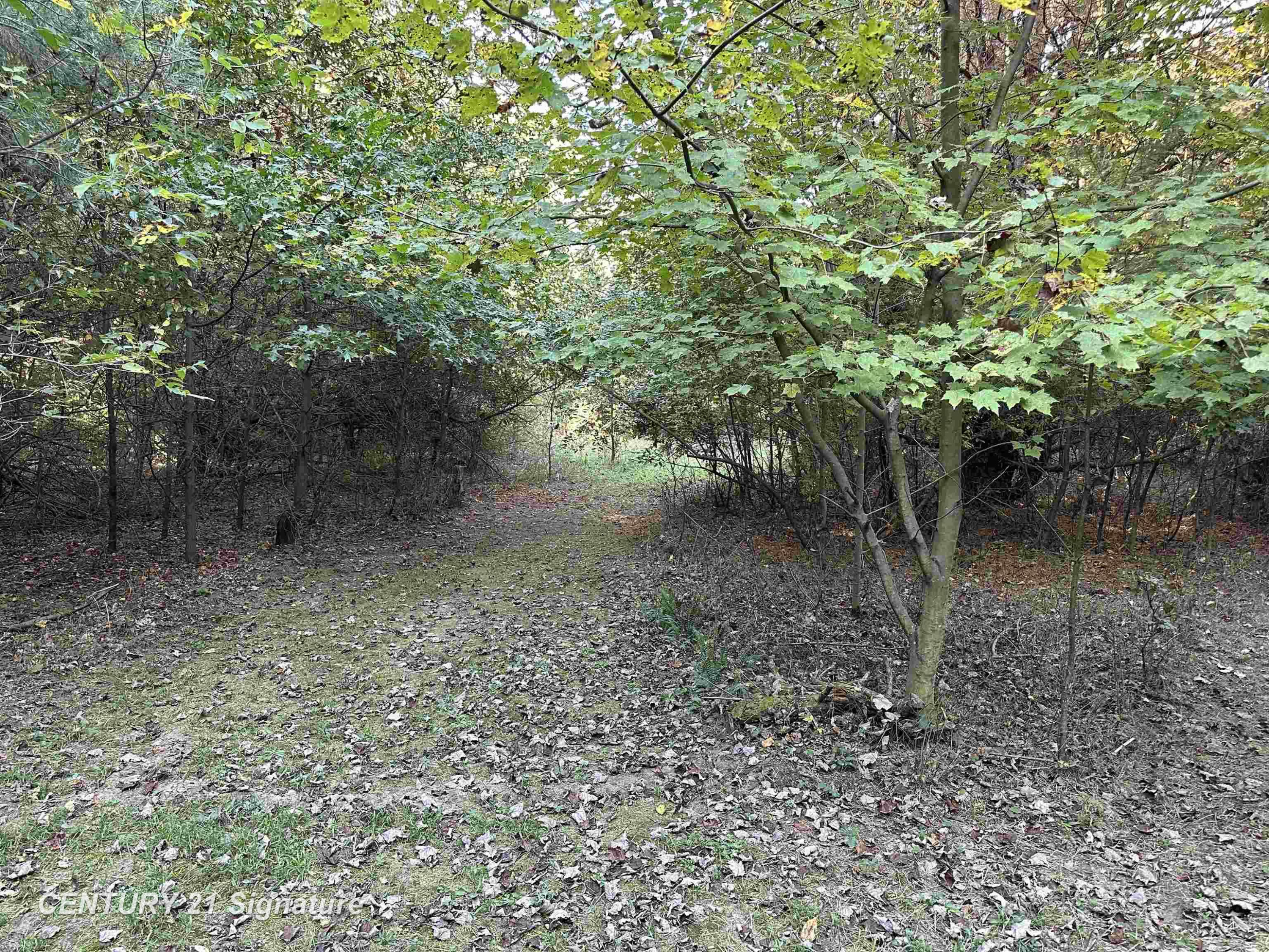 10350 Morrish Road, Montrose, MI 48457 — Photo 32
