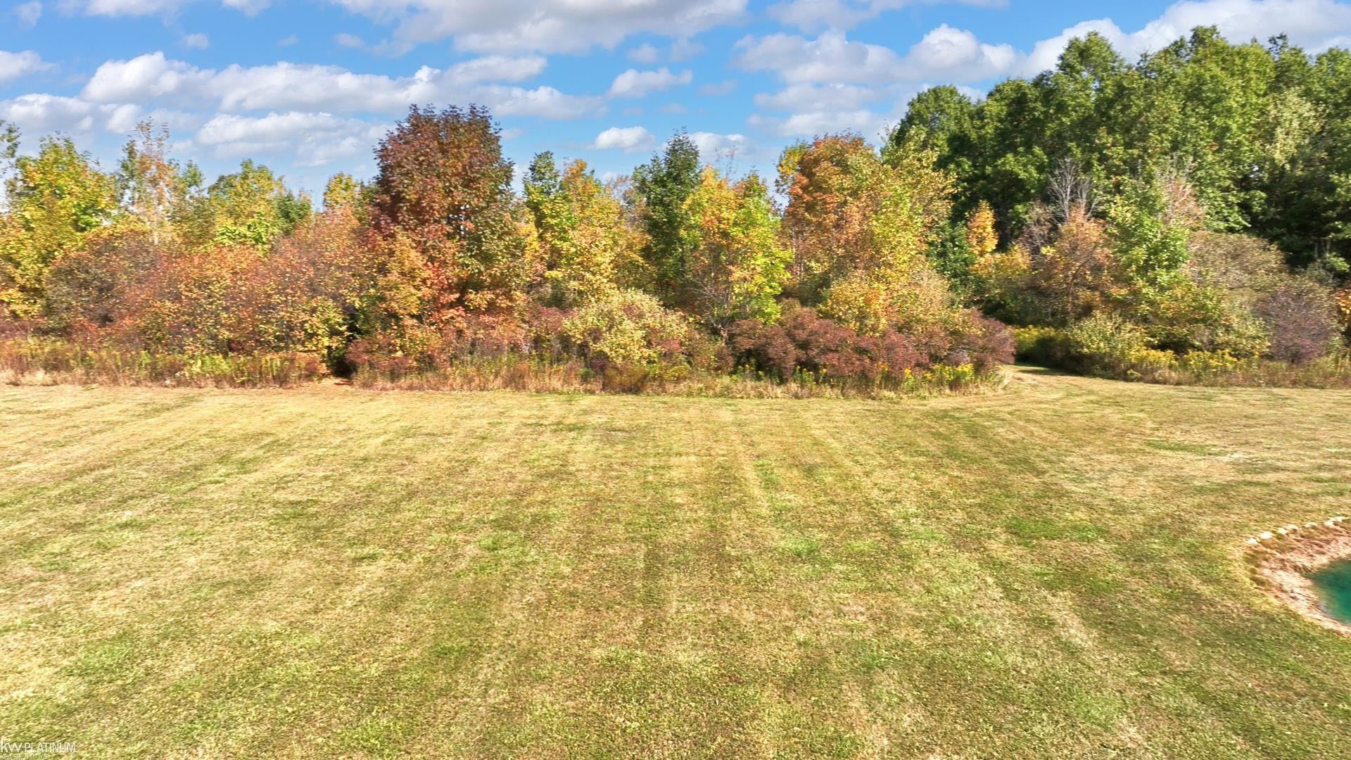 7922 Springborn Road, MI 48064 — Photo 12