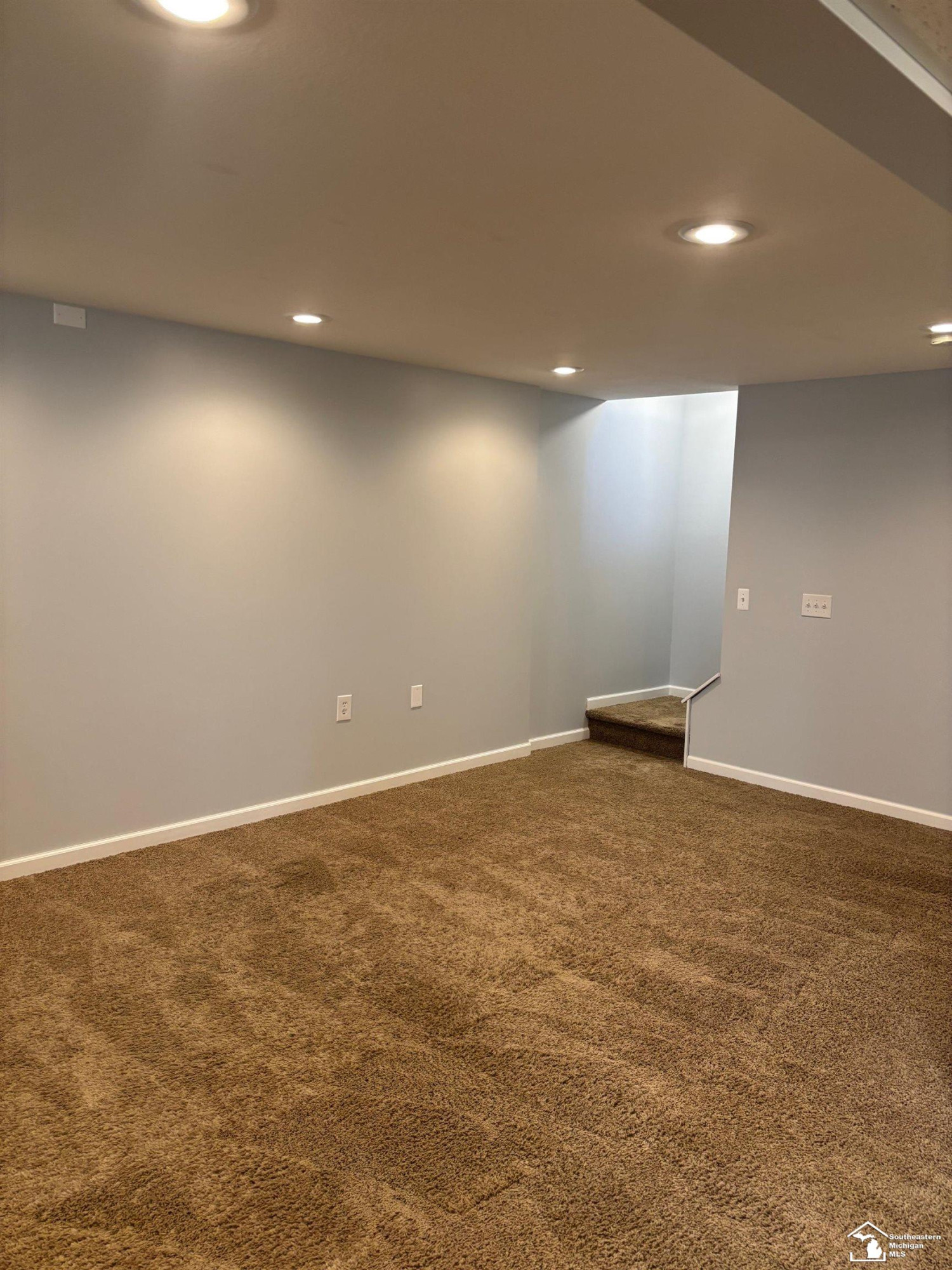 209 Caribou Run Street, Dundee, MI 48131 — Photo 15