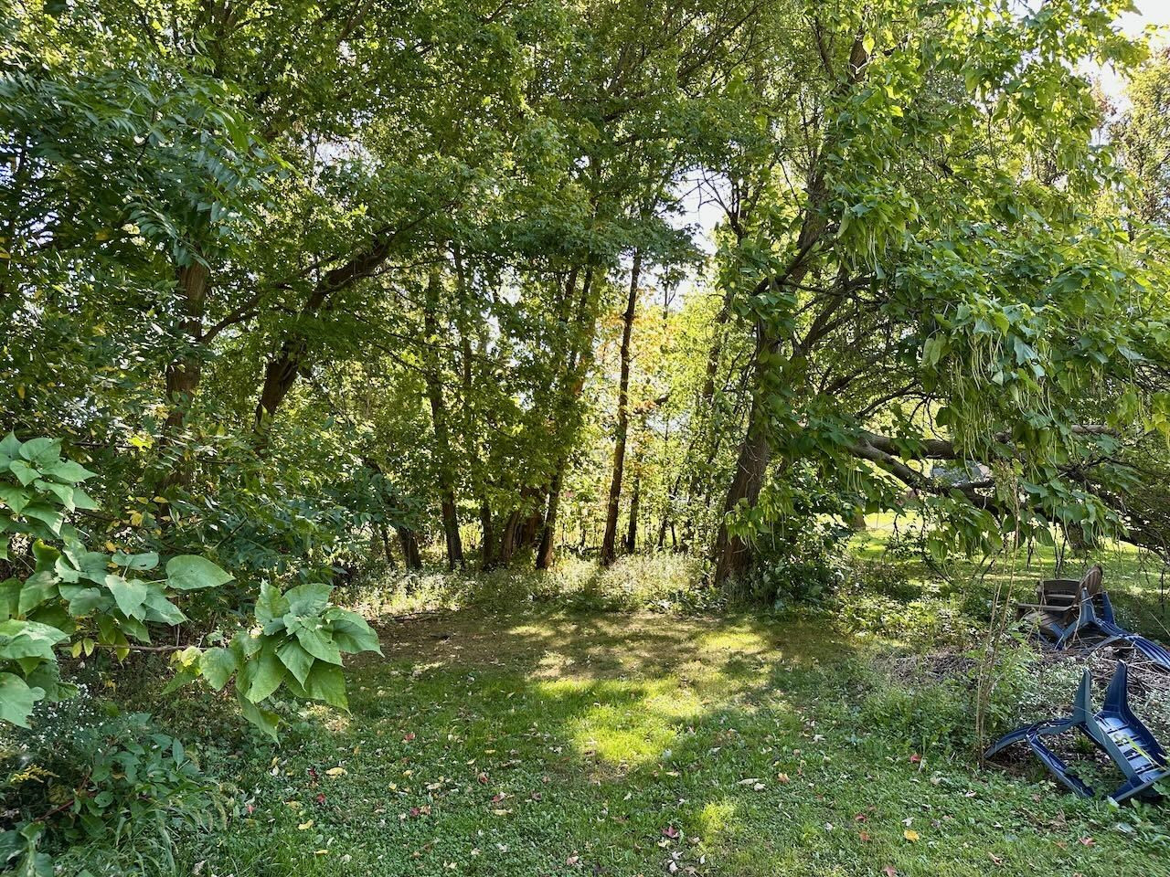 11304 McKinley Road, Montrose, MI 48457 — Photo 7