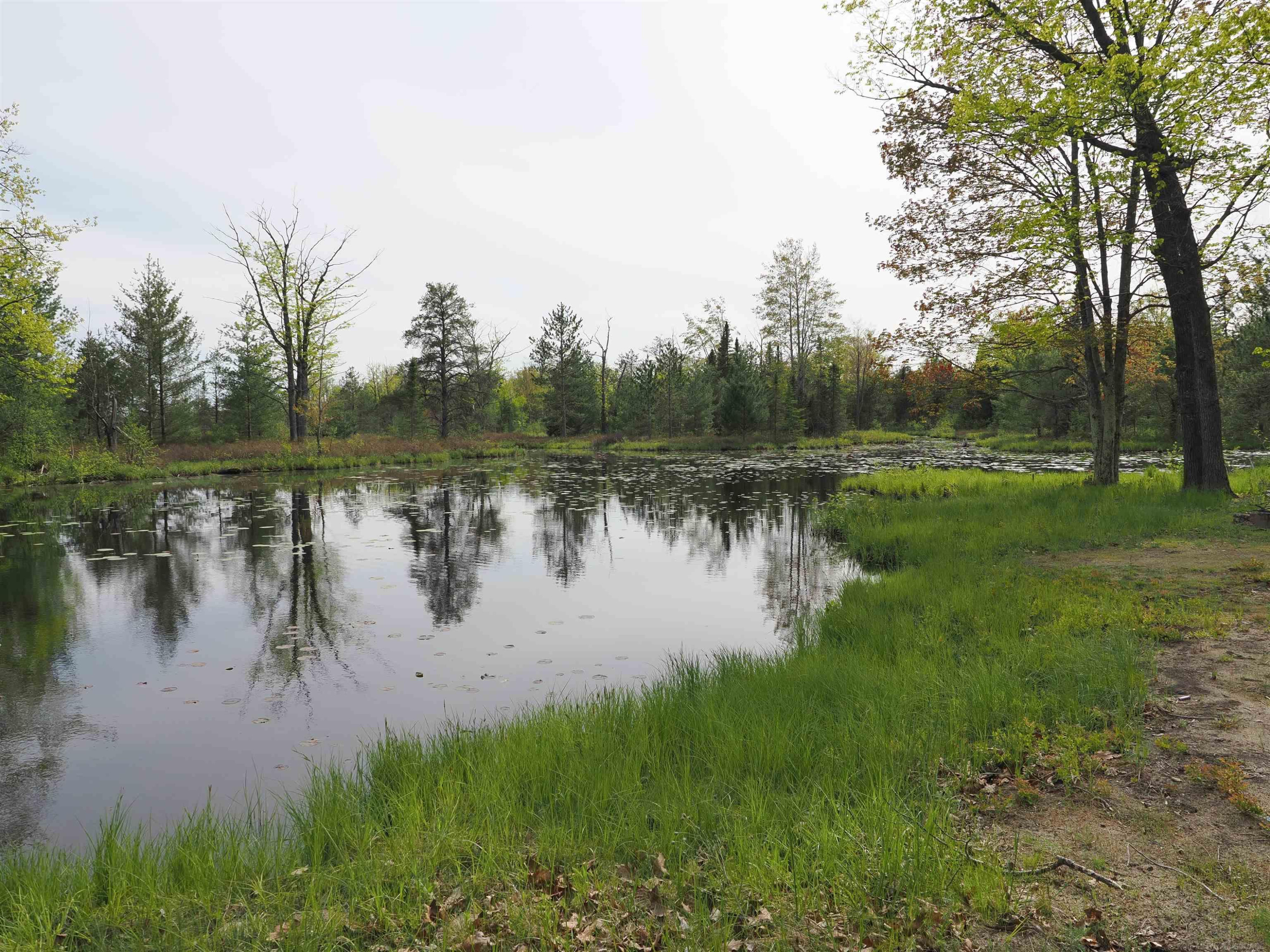 4011 SANDALL Road, Alpena, MI 49707 — Photo 2